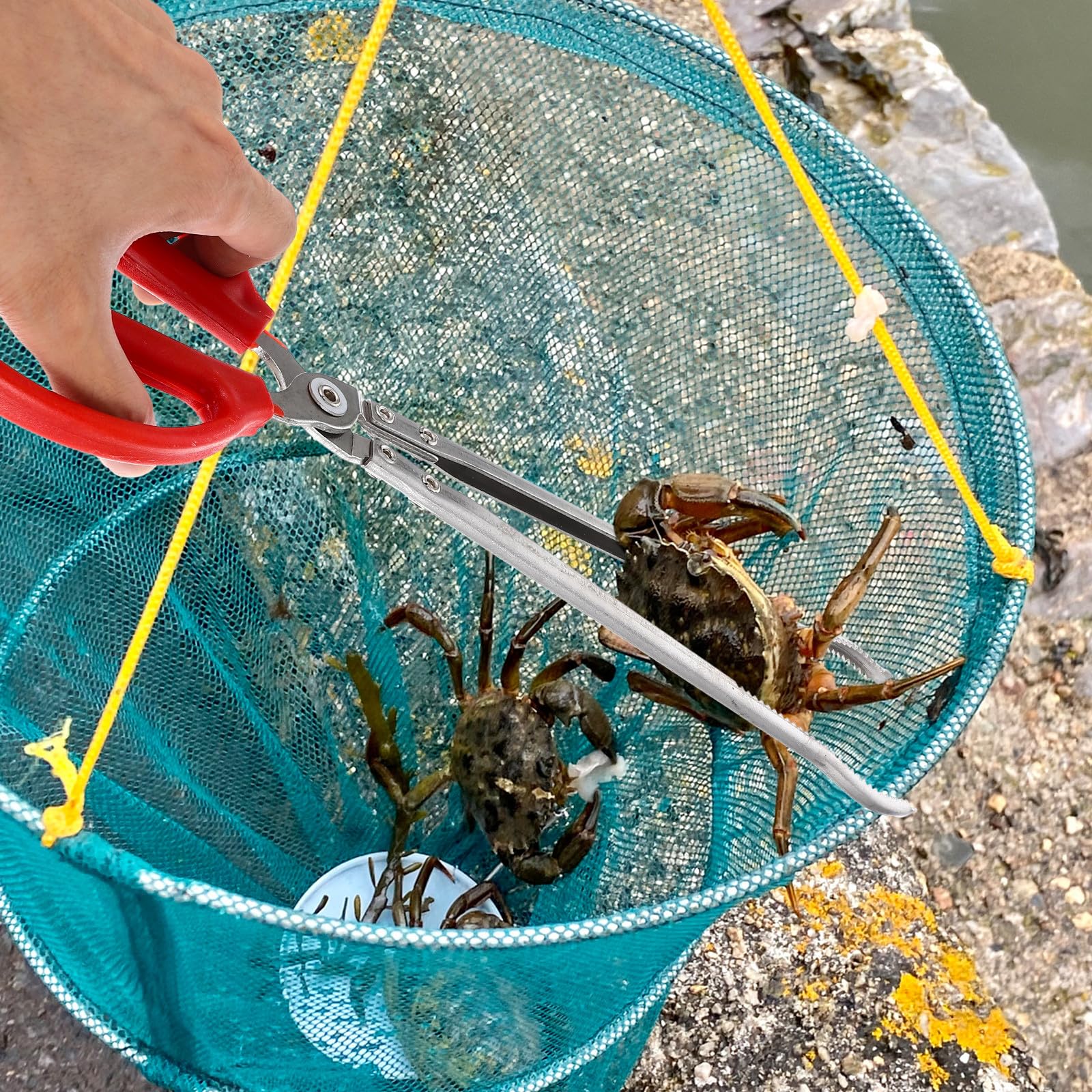 Lurrose Pinza Pescar al Aire Libre y Cangrejo Doméstica Multifunción Antideslizante Resistente Desgaste Adecuado Captura Cangrejos Peces Barro Marisco en Actividades Acuáticas