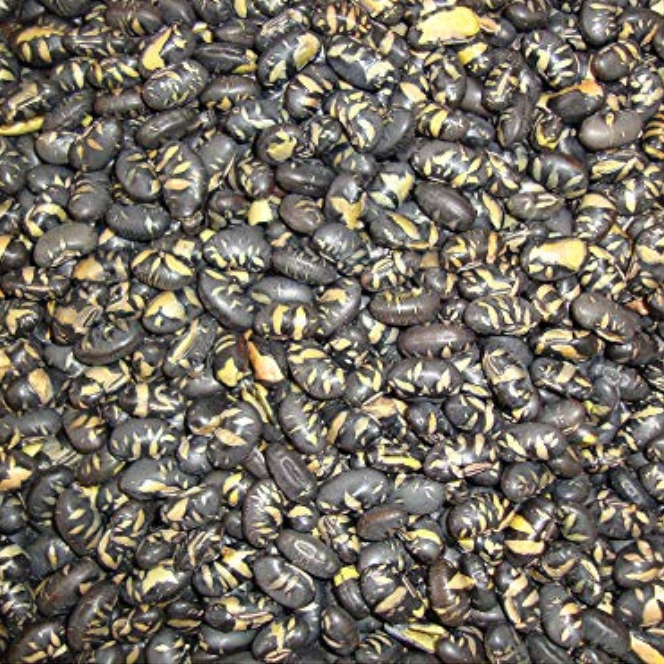 Buy Black Soybeans 1 Kg, Roasted and Lightly Salted 2.2 Lbs, high