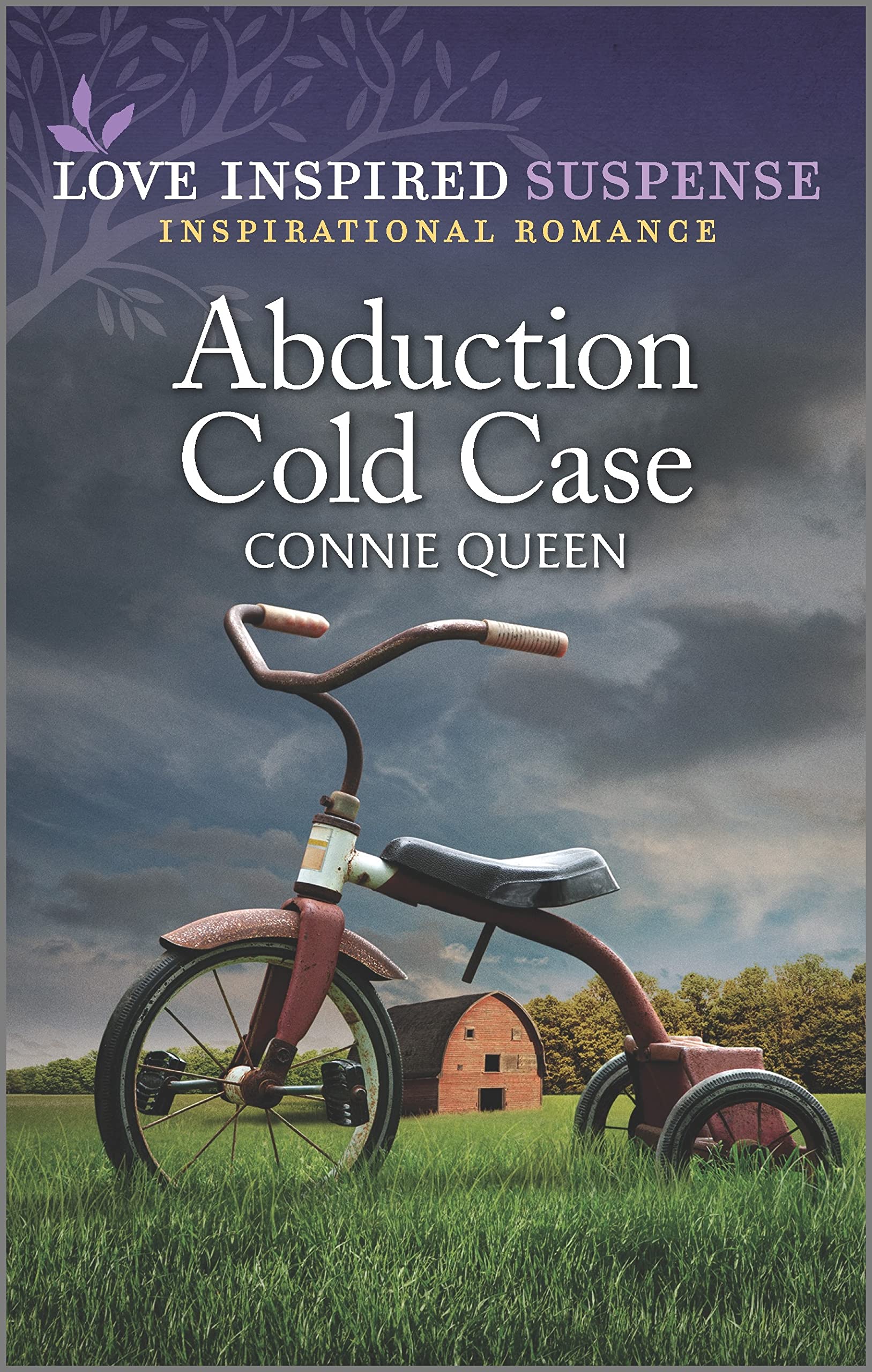 Abduction Cold Case: A Clean Texas Ranger Inspirational Suspense Romance