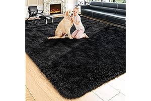 Noahas Black Big Rugs for Living Room 16x20