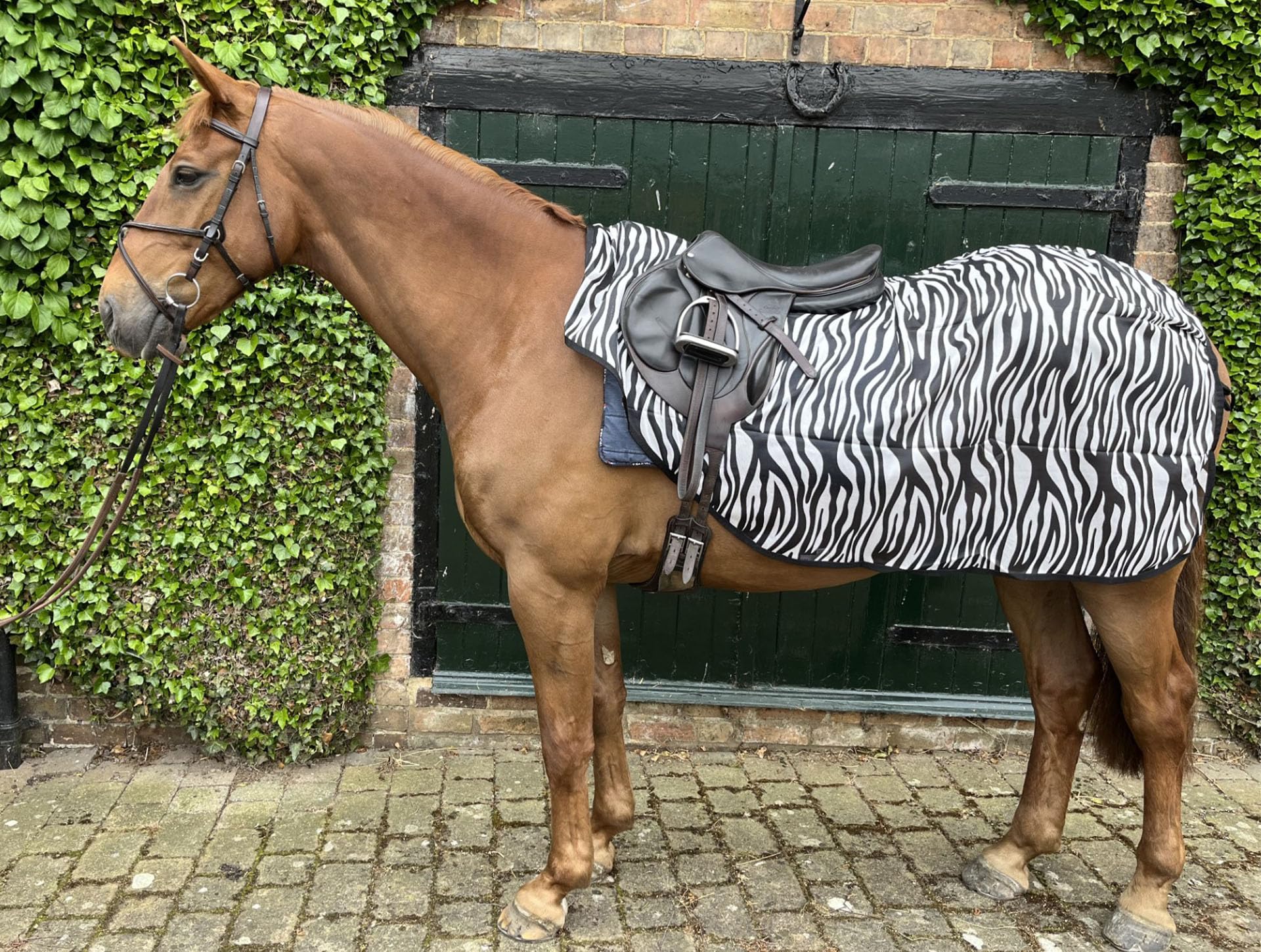 Ruggles Ride On Mesh Fly Exercise Sheet for Horse and Pony lightweight, breathable fly protection (Zebra Print, Large)