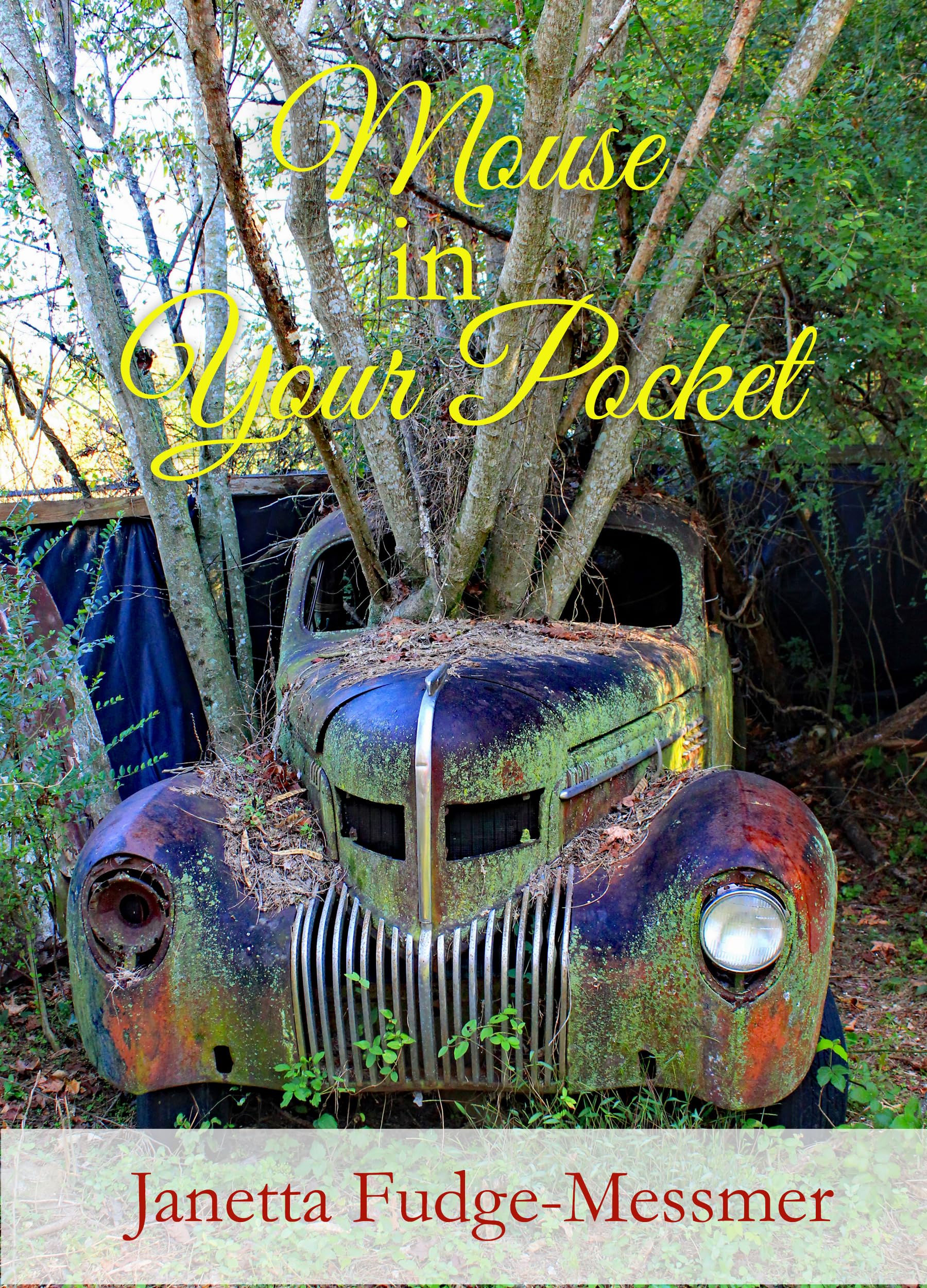 Mouse in Your Pocket