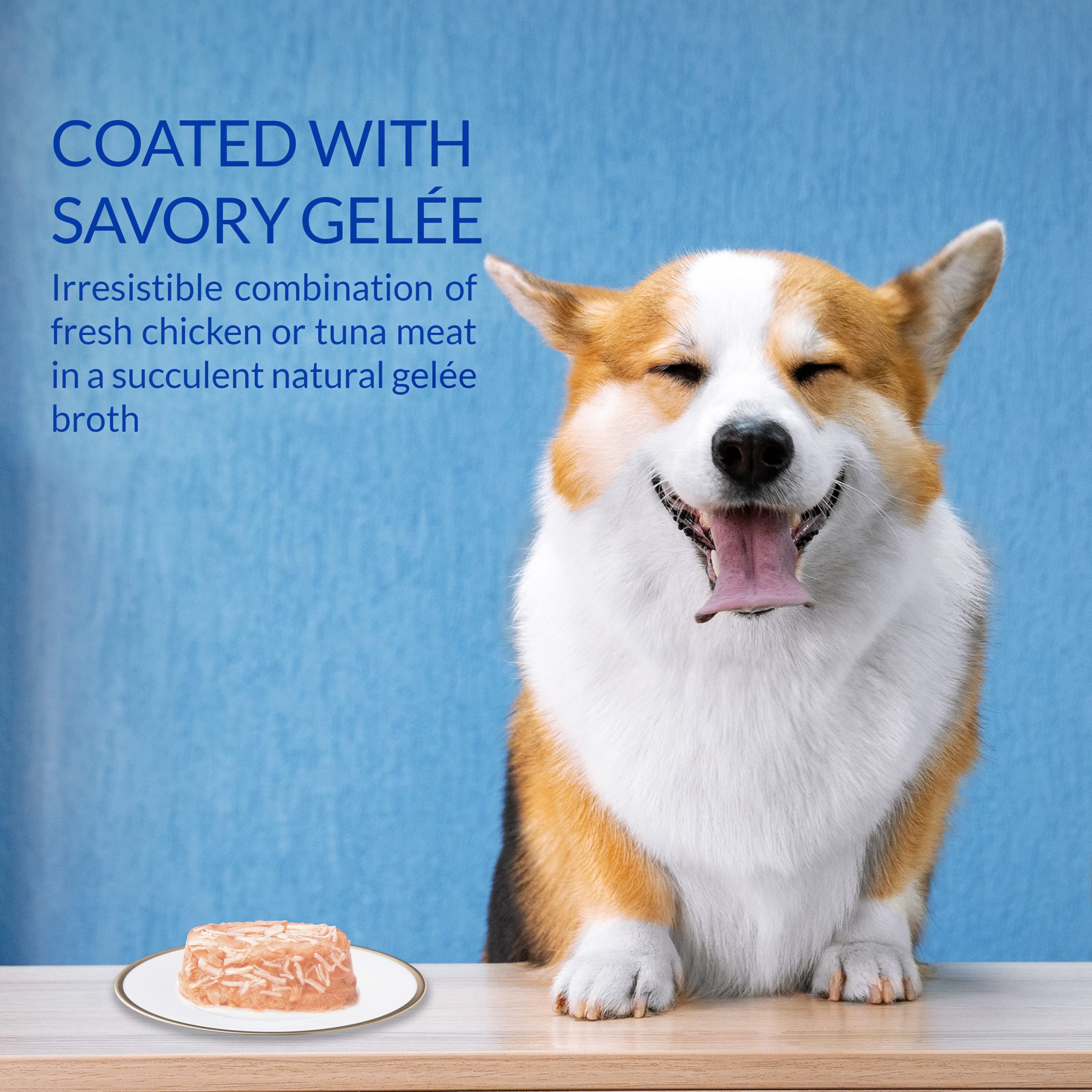 Can Dogs Eat Whole Wheat Bread