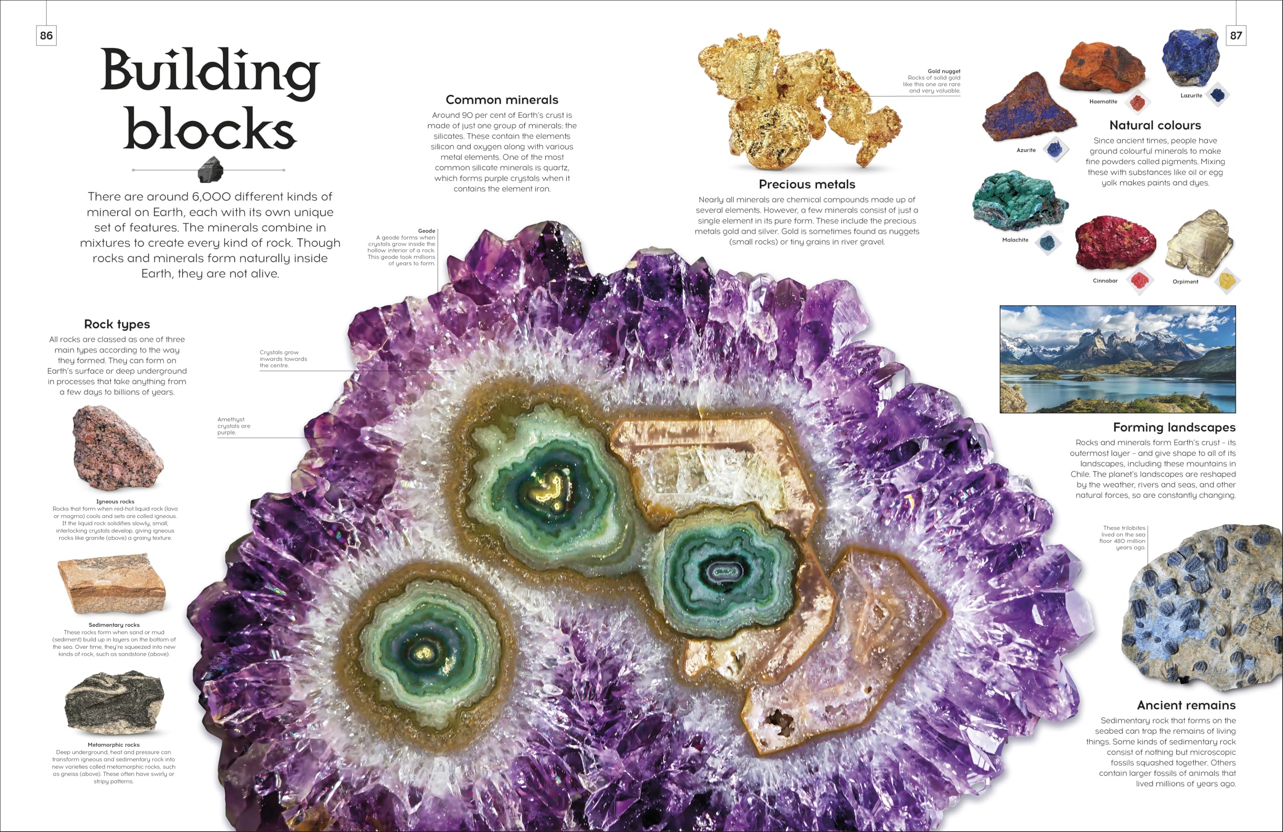 Shapes of Nature: A Big, Beautiful Book of the Natural World for Kids