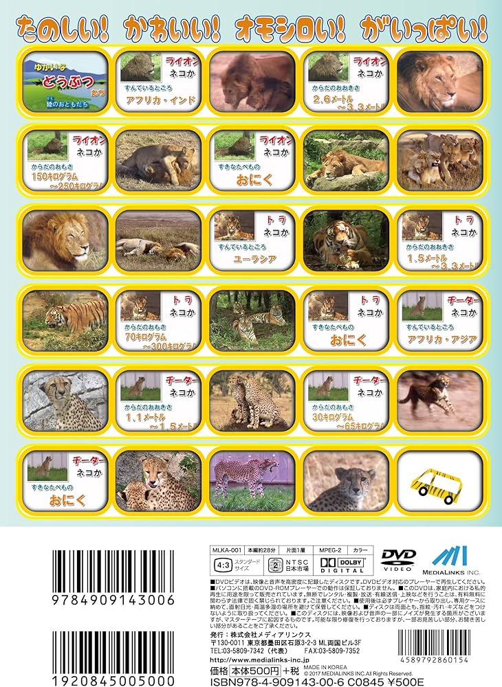 原画　抜き打ちテスト トラ ライオン チーター 原画 抜き打ちテスト トラ ライオン チーター 原画 抜き打ちテスト