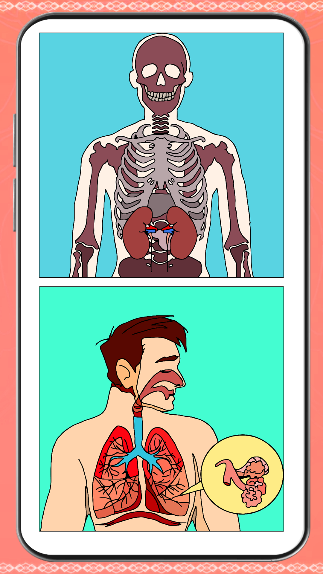 Human Body Color By Number Art - Anatomy Coloring Book - App on Amazon ...