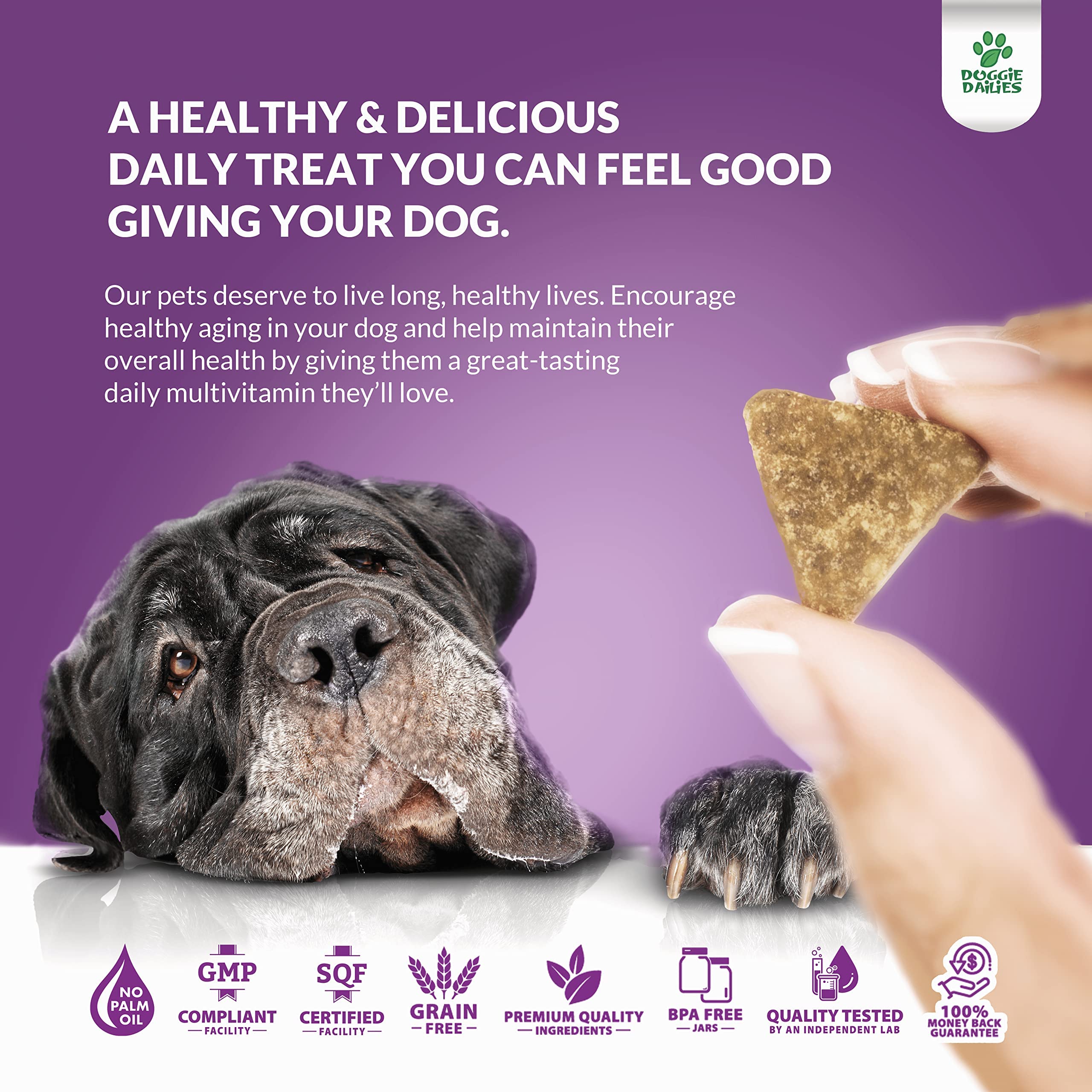 Doggie Dailies 5 in 1 Multivitamin for Dogs, 225 Soft Chews, Dog