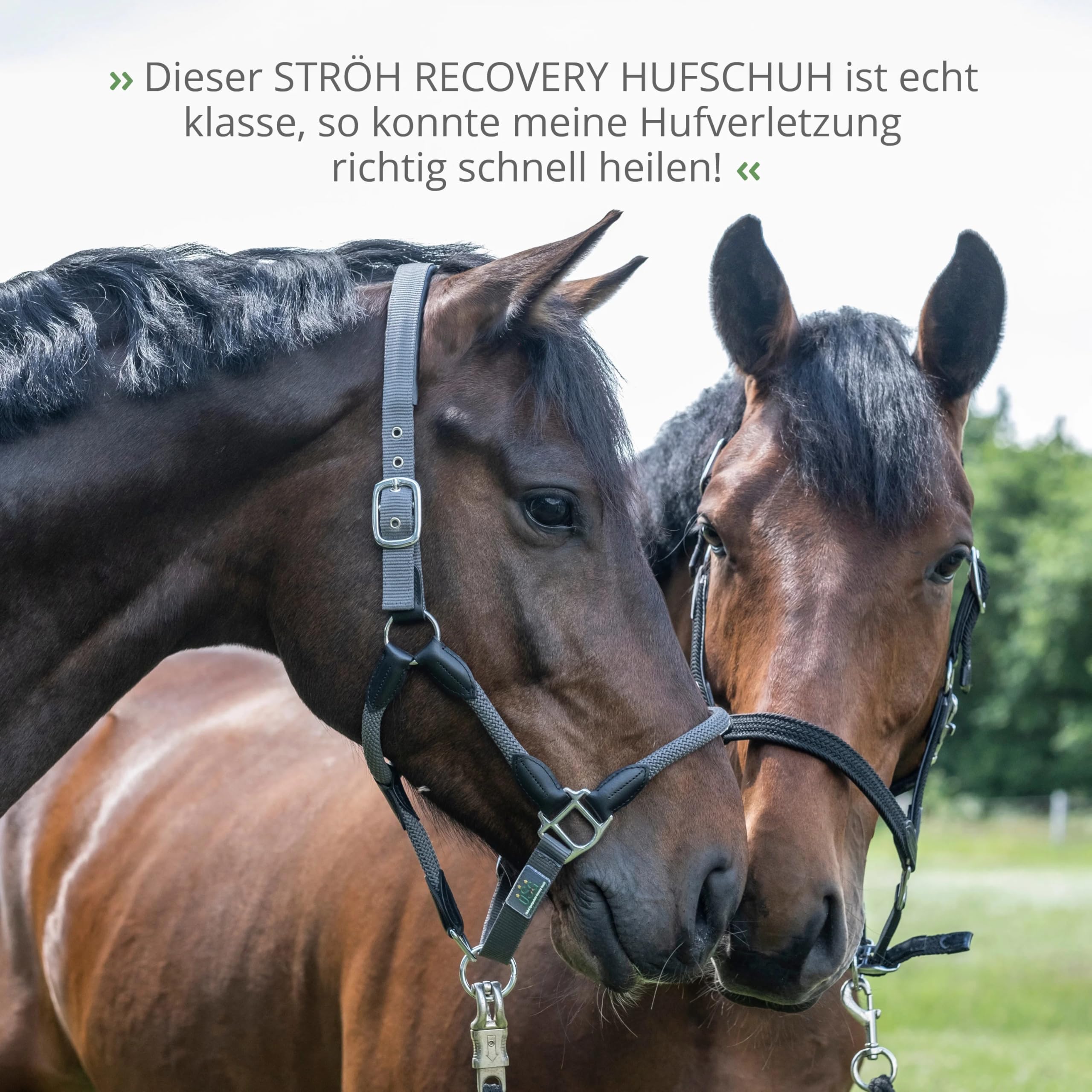 STRÖH Recovery Hufschuh (Gr. 9) • Medizinischer Hufschuh aus Neopren • Stabiler Hufschutz bei Verletzungen, Hufkrankheiten, Hufgeschwüren • Waschbarer Krankenschuh Pferd • Hufschuhe für Pferde