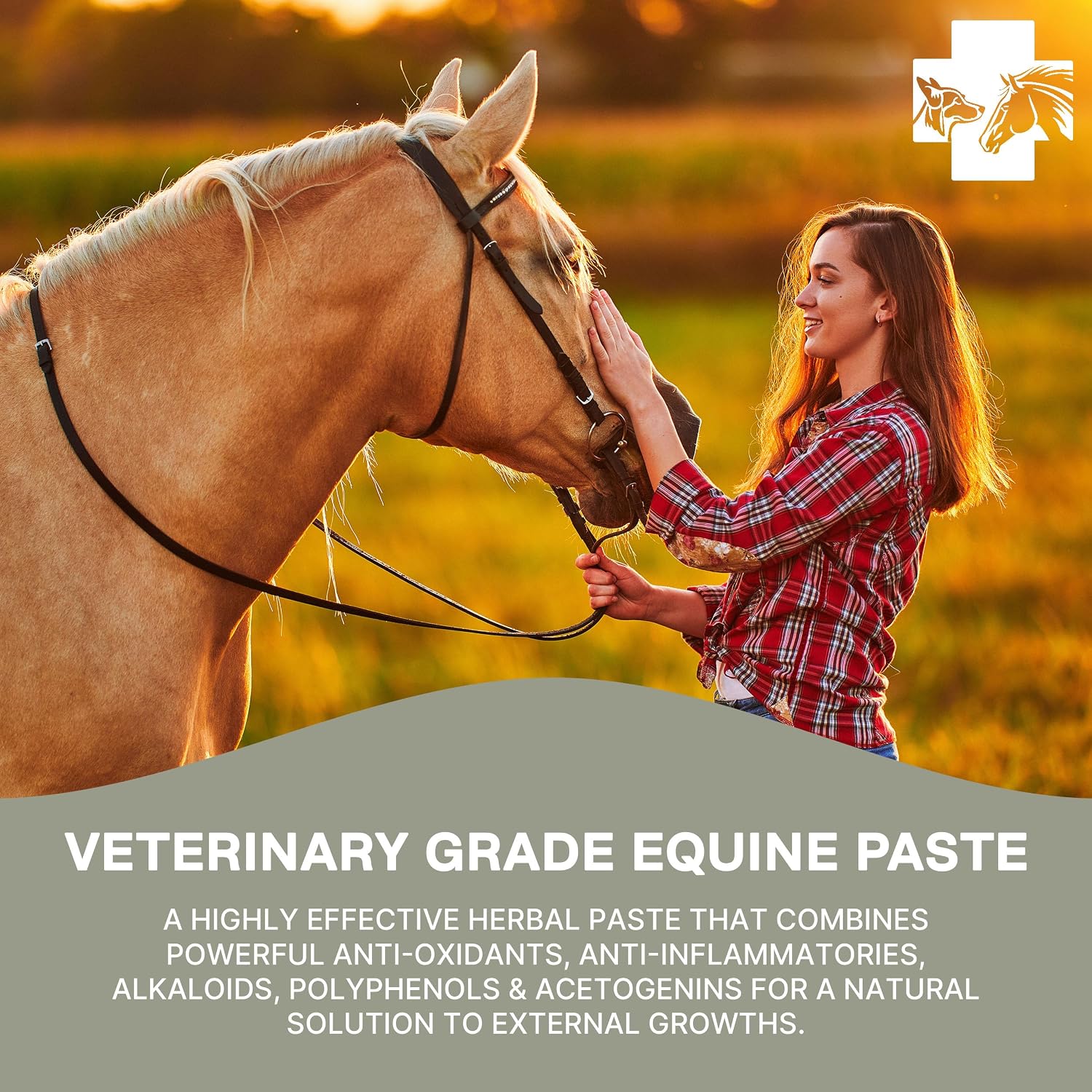 Vet Grade Horse Wellness Paste for Skin Anomalies | 2oz All-Natural Formula | Equine & Livestock Care