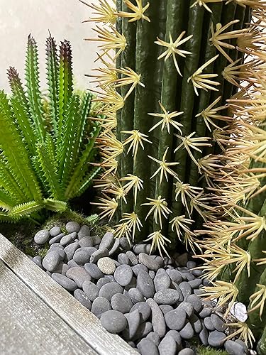 Vista 2 de Black Rock, CJGQ - Piedras de río de 3 libras para plantas suculentas, rocas decorativas para jardines de paisajismo al aire libre, piedras negro