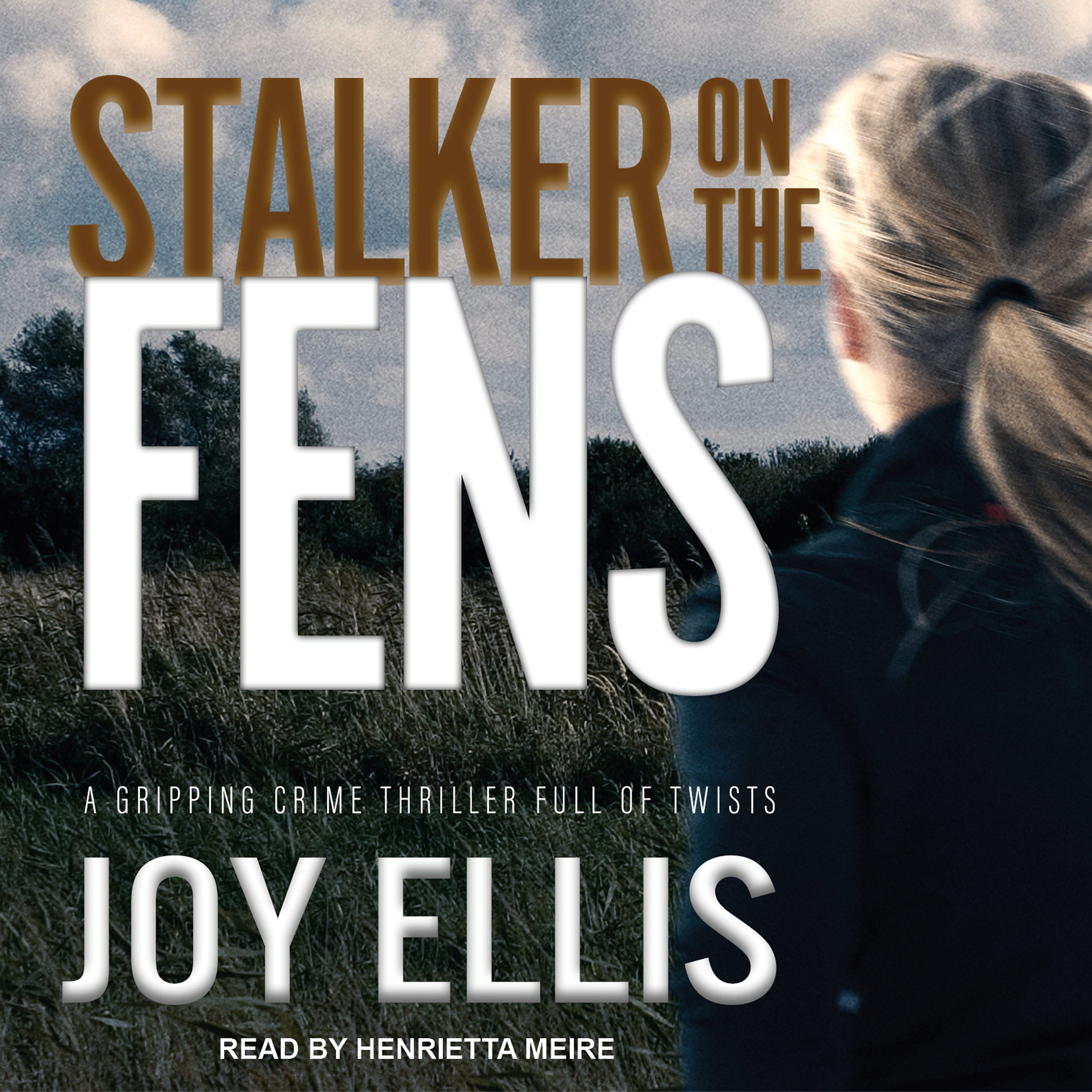 Cover art for Stalker on the Fens