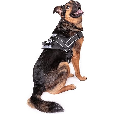 No pull dog harness large breed Clearance