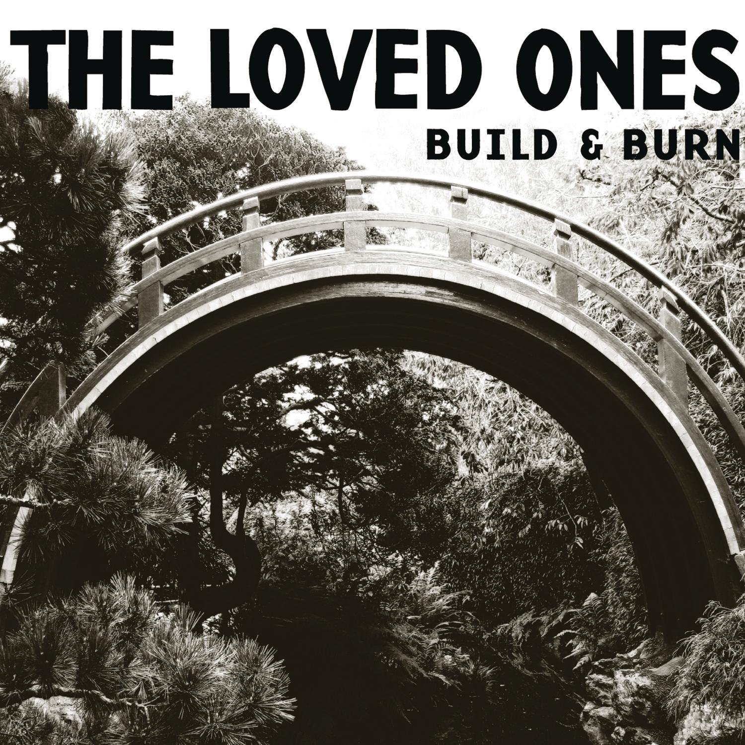 Build and Burn [Audio CD] Loved Ones; The Loved Ones; Buick Audra; Franz Nicolay; Mike Sneeringer; Christopher Gonzalez; Dave Walsh; Dave Hause; Pete Steinkopf; Bryan Kienlen and Bob Strakele