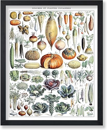 Miniatura 122 de Poster Master Póster vintage de orquídea, estampado de flores retro, arte de pared de plantas exóticas, arte botánico, regalo para hombres y