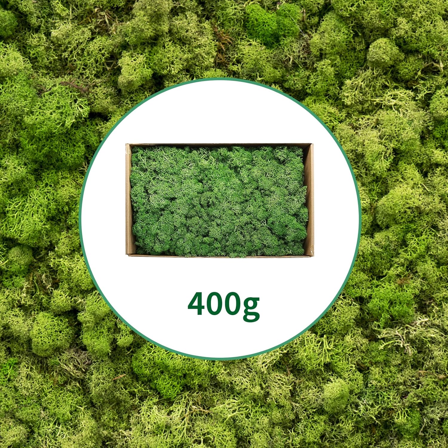 TurelinnG Preserved Moss 0.88LB Reindeer Craft Moss, Fake Moss Suitable for Flowerbeds, Crafts, Home Office Artistic Decoration Green
