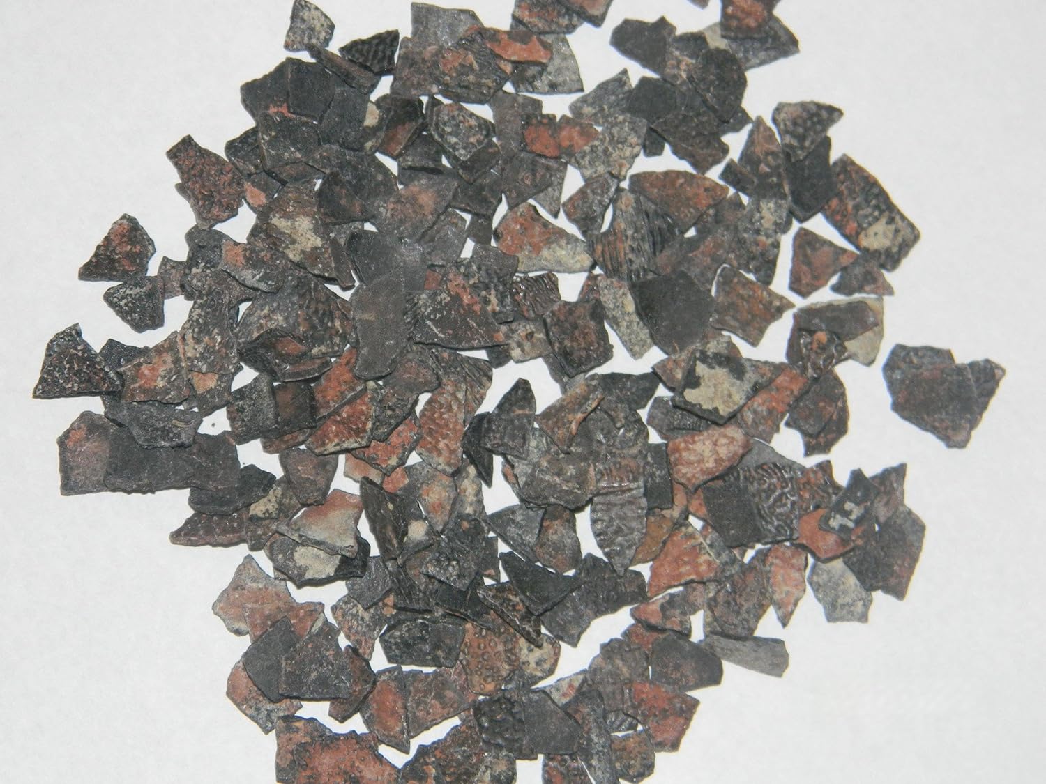 Genuine Dinosaur Fossil Eggshell Fragments - Set of 10 Pieces