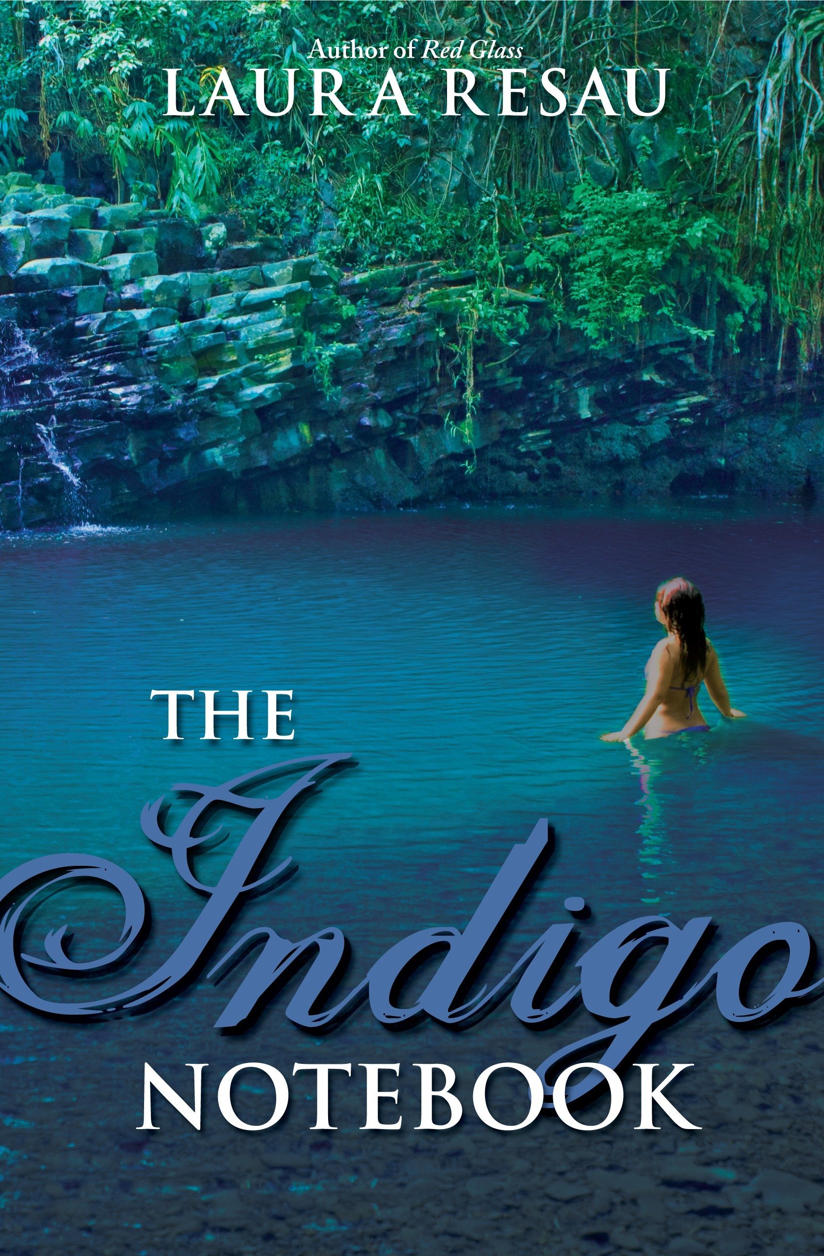 The Indigo Notebook: 1 (Notebook Series)