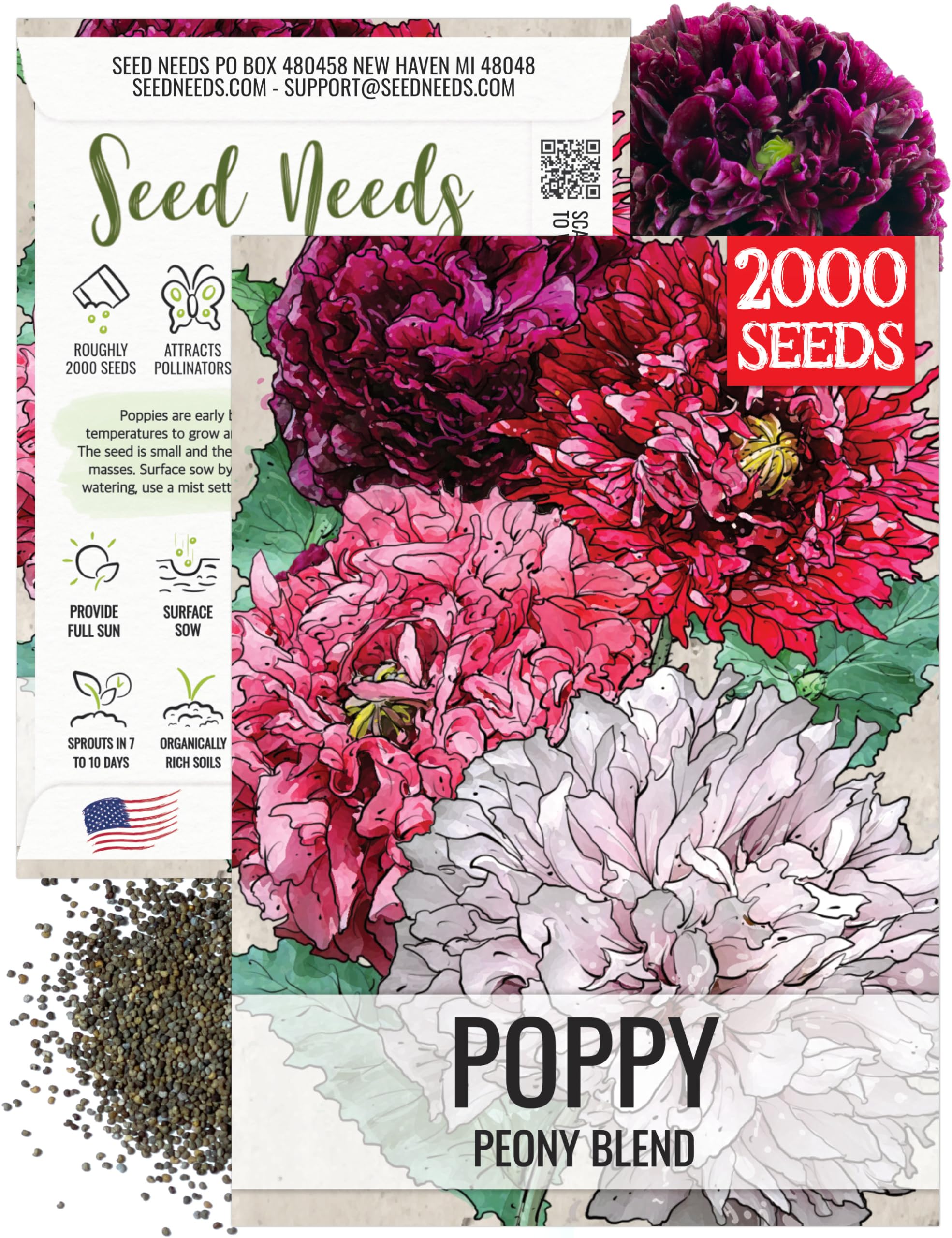 Seed Needs Mixed Peony Poppy Seeds for Planting - Heirloom & Open Pollinated - Colorful Mixture to Plant an Outdoor Butterfly Garden, Attracts Pollinators (1 Pack)