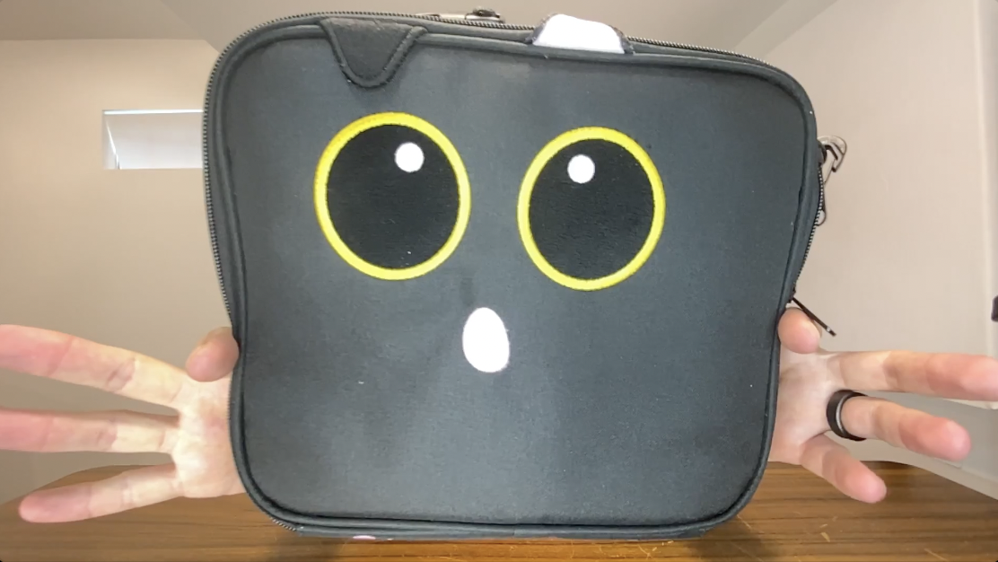 BEST Lunchbag? | Black Cat Insulated Bento Box Lunch Bag