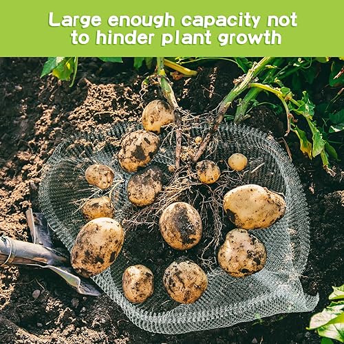 Miniatura 10 de 10 cestas de alambre a prueba de toros de acero inoxidable para plantar plantas de alambre de punto subterráneo, malla de jardín para protección de