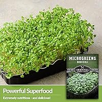 Vista 3 de 1 paquete de semillas de microgreens de brócoli para plantar y cultivar – Planta plantas de microvegetales de hoja verde en interiores – Cultiva tu