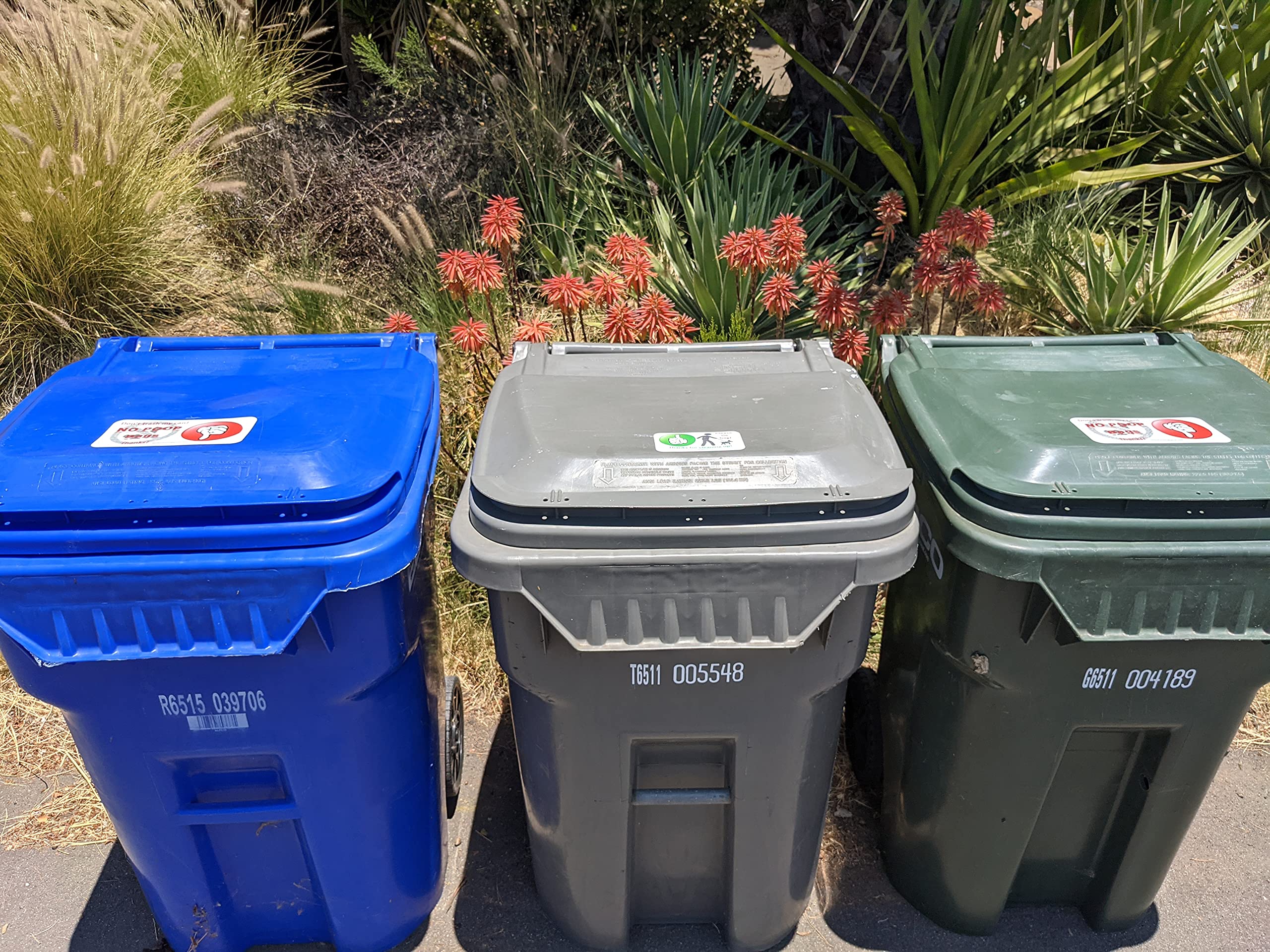 Can I Put Dog Poop In My Compost Bin