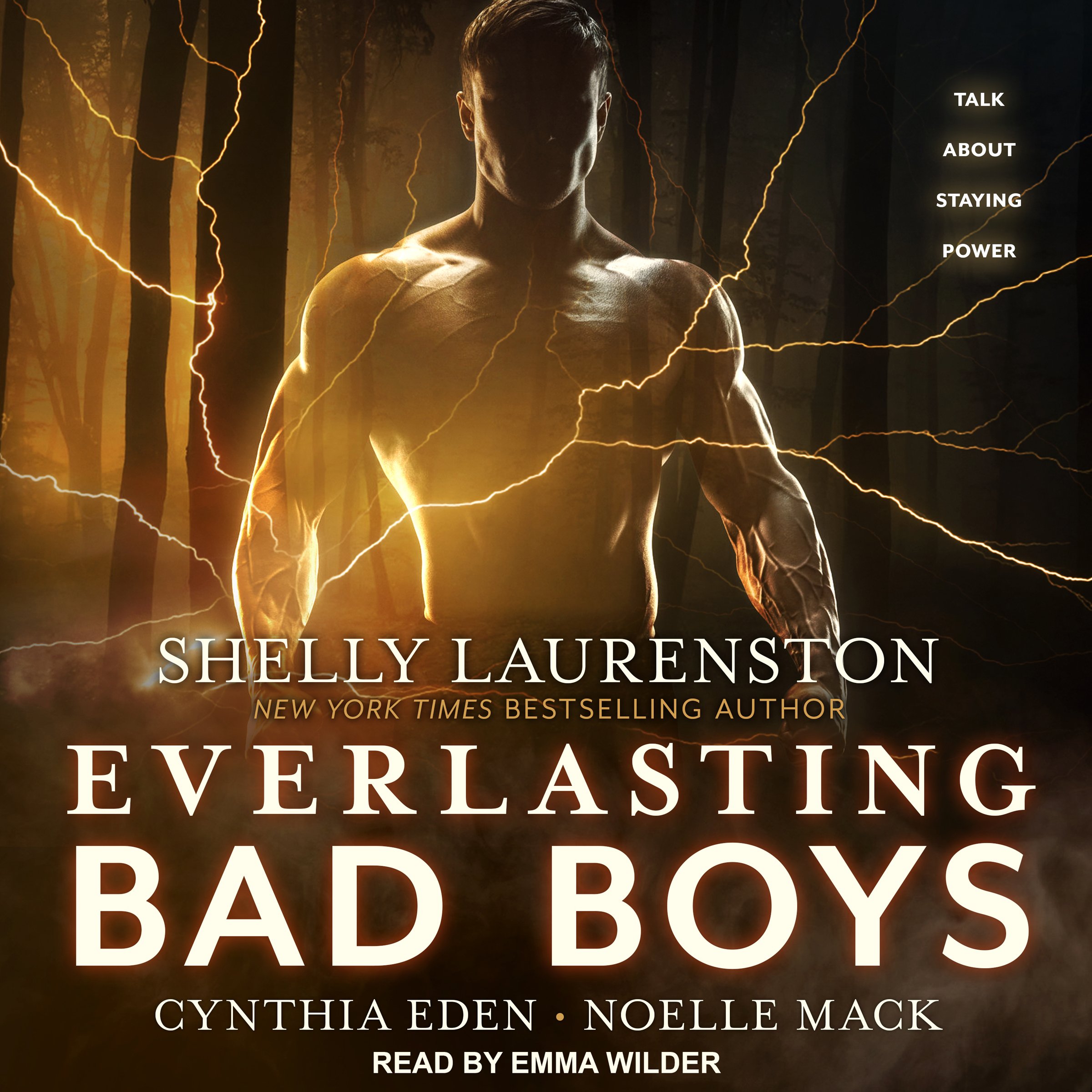 Cover art for Everlasting Bad Boys