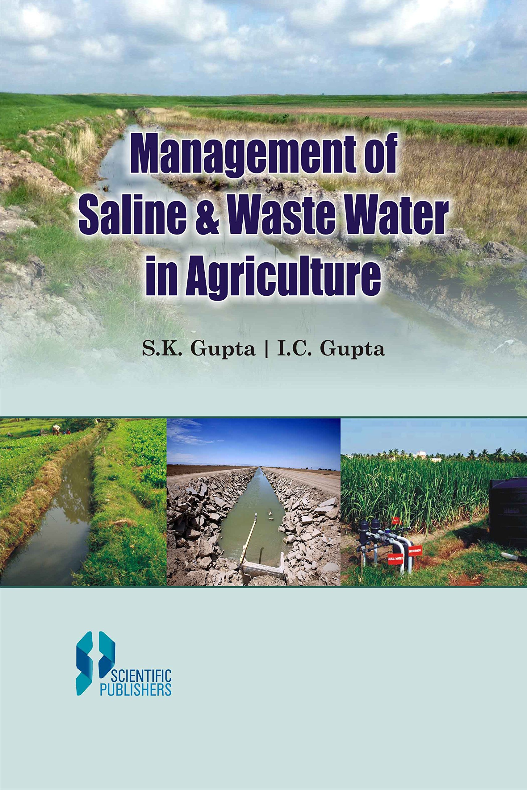 Buy Management Of Saline and Waste Water In Agriculture [Hardcover] Gupta, S.K.,Gupta, I.C. — BookShops.in