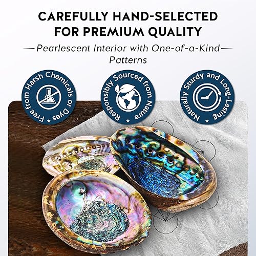 Miniatura 4 de Carcasa de abulón seleccionada a mano, 6 pulgadas o más. Perfecto para sostener incienso, baratijas y más