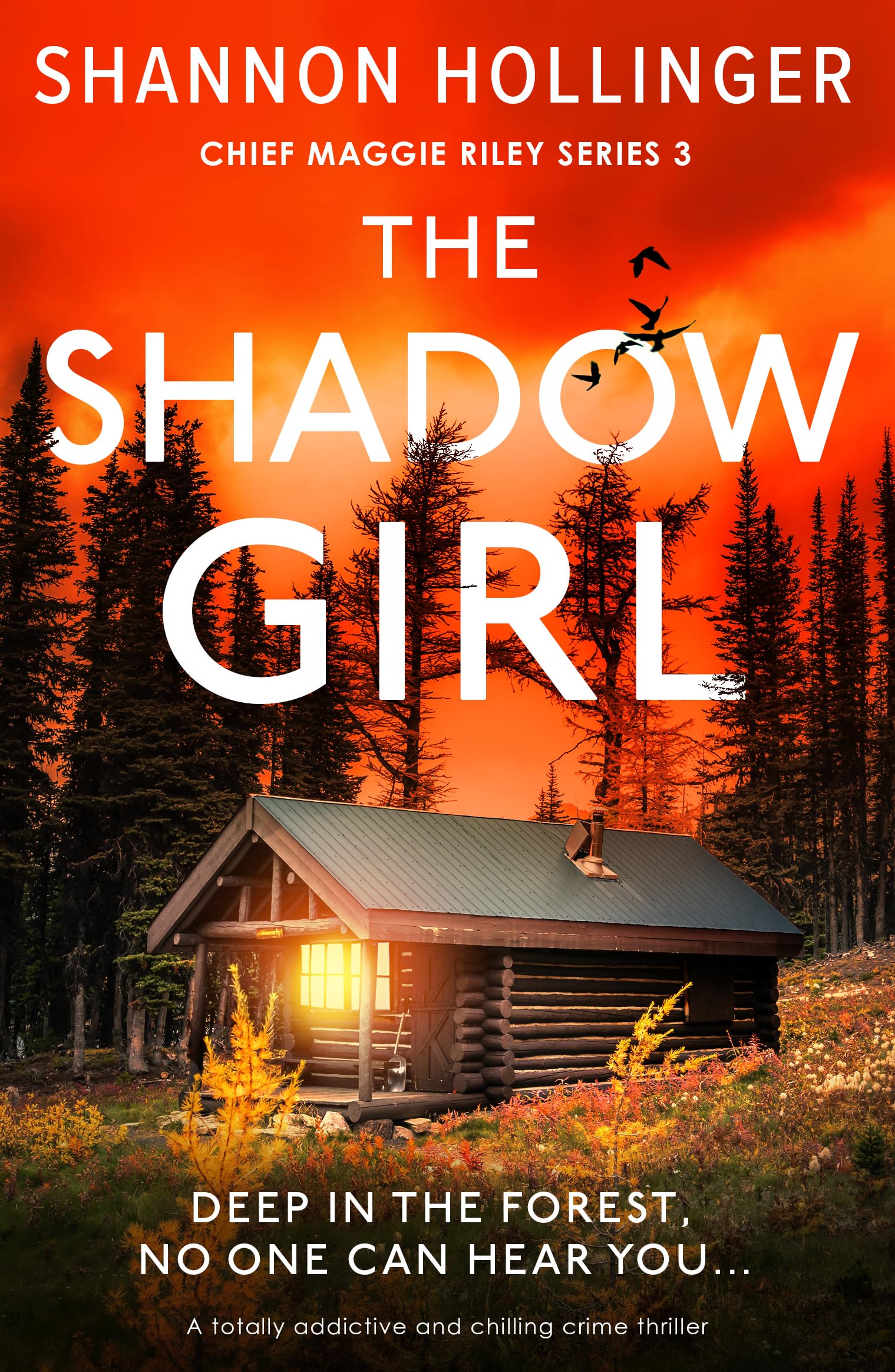 The Shadow Girl: A totally addictive and chilling crime thriller (Chief Maggie Riley Book 3)