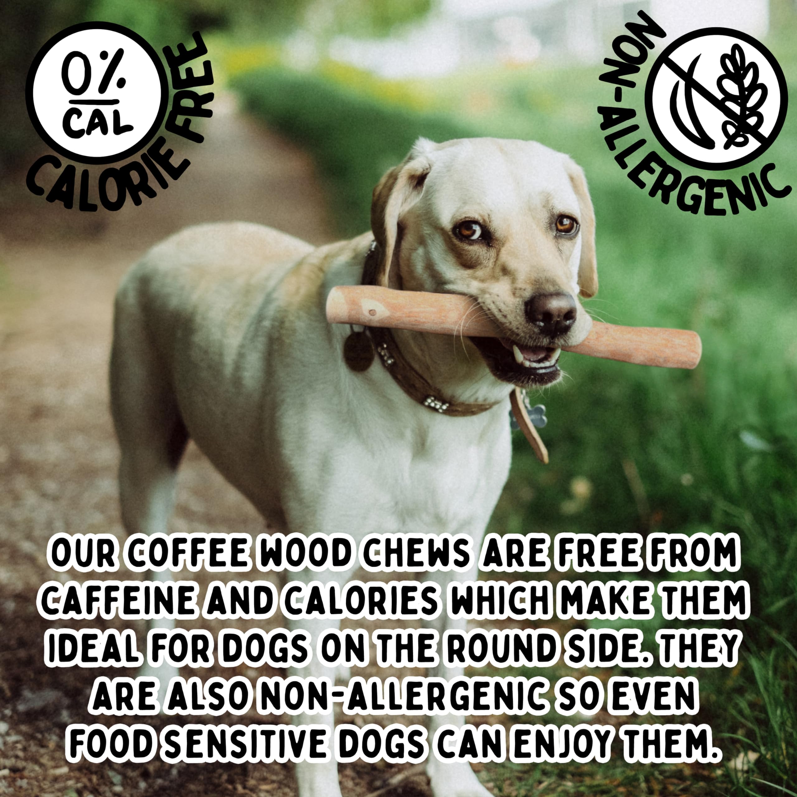kozeepet Gnarlawood Coffee Wood Dog Chew, Brown, Medium - Image 4