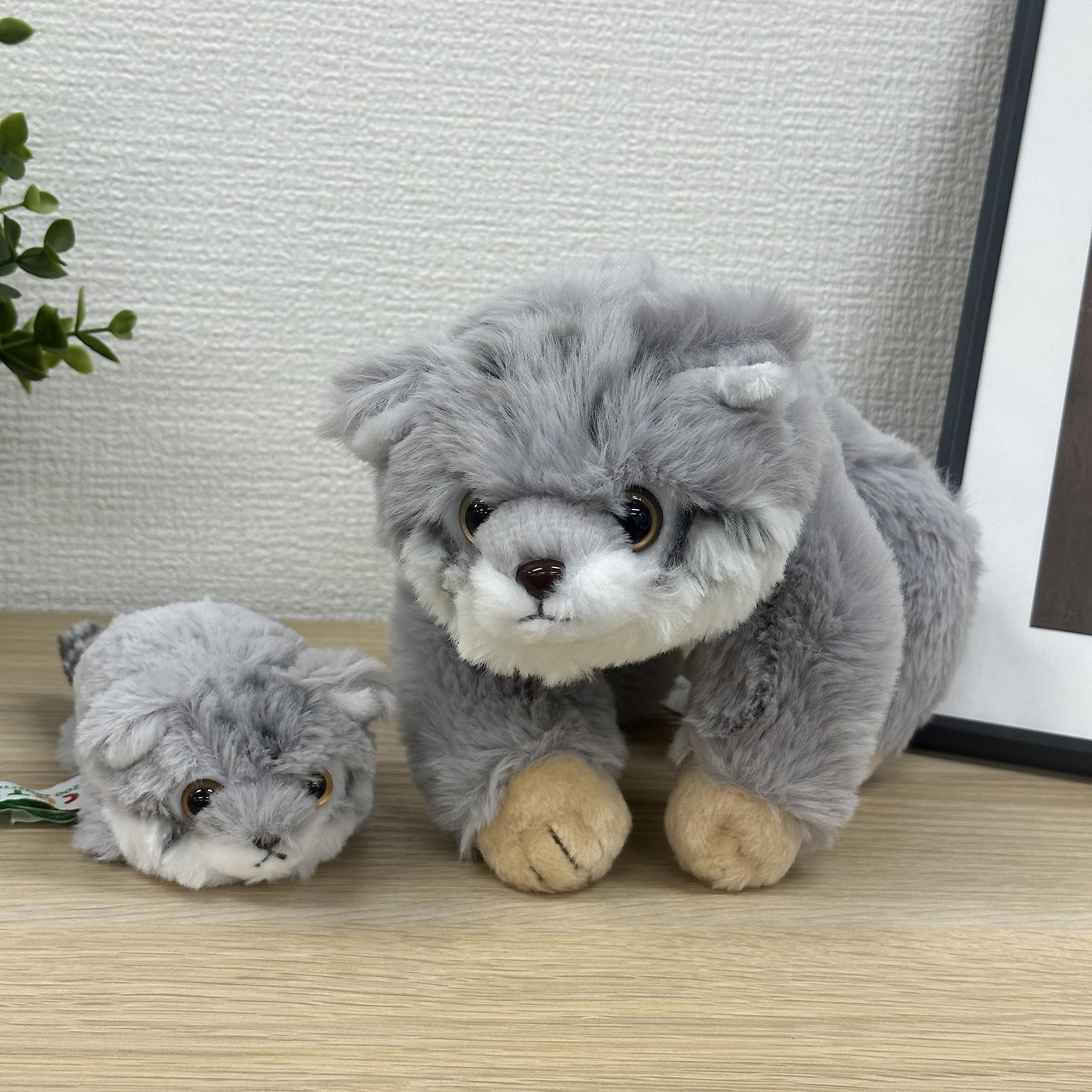 Amazon.co.jp: キュート販売 ぬいぐるみ てのひらマヌルネコ Z0376