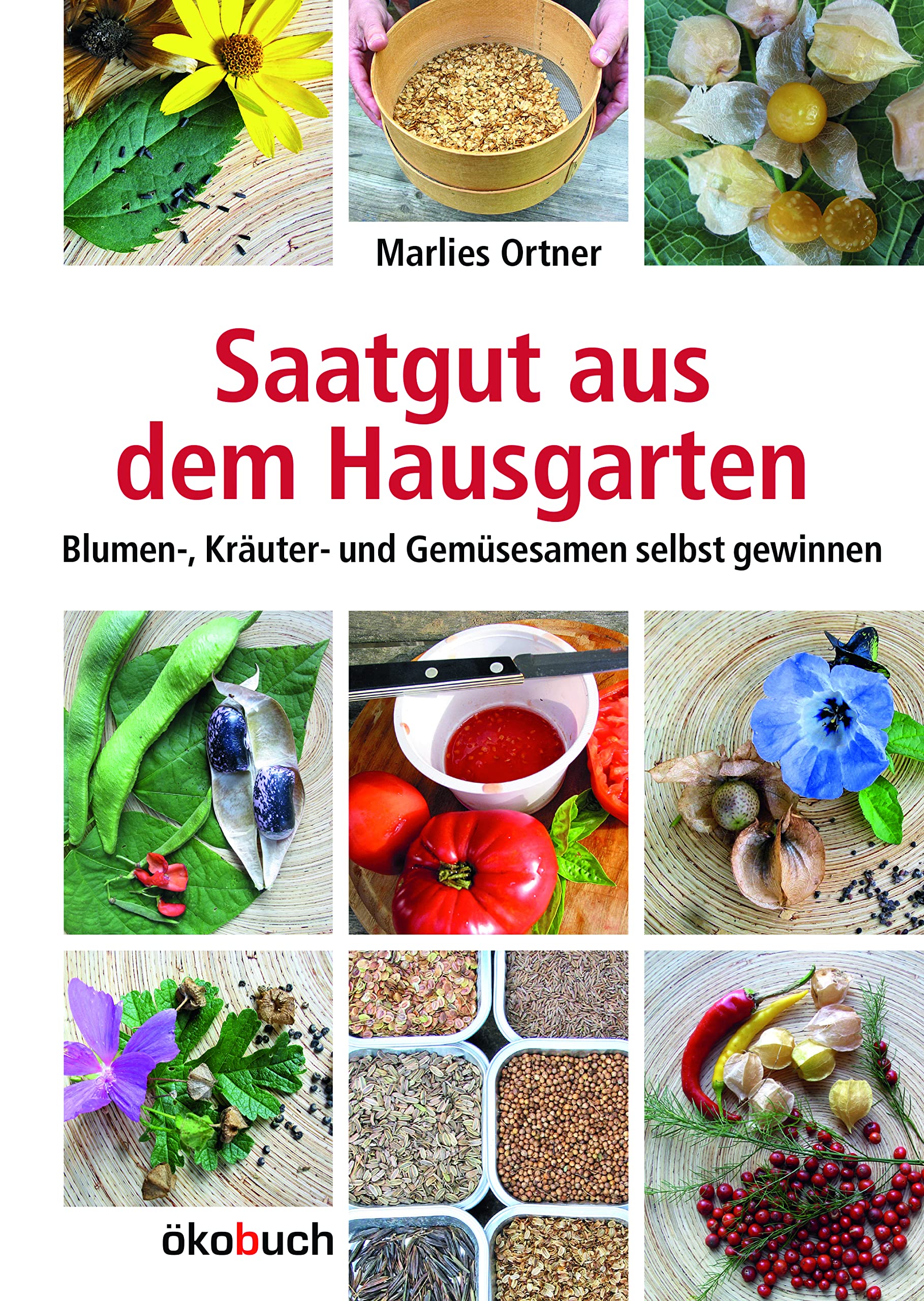künstliche hängepflanzen mit topf Hängepflanzen mit Seil - 2er-Set main image 1