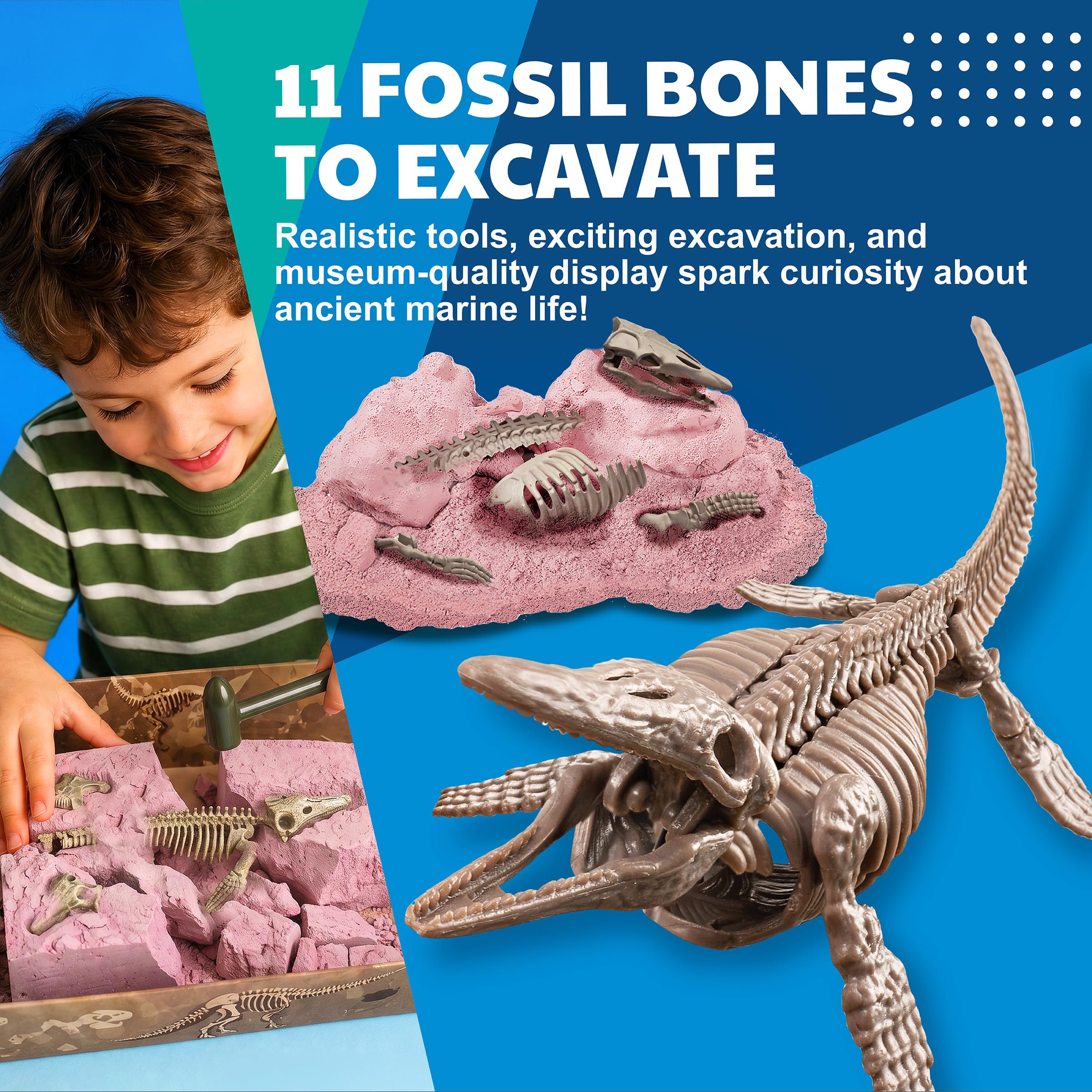 Amazon.com: 4M Dig a Mosasaurus Skeleton Kit for Kids Ages 8-12