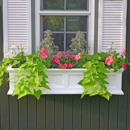 Miniatura 2 de Jardinera de ventana, de Mayne Fairfield, Blanco