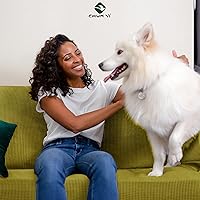 Vista 380 de CHUN YI - Funda elástica para sofá (7 piezas), funda para sofá de 3 plazas con tres respaldos y cojines separados con banda elástica, tela jacquard