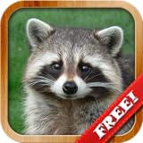 Tiere für Kleinkinder, Meine Ersten Wörter Spiele