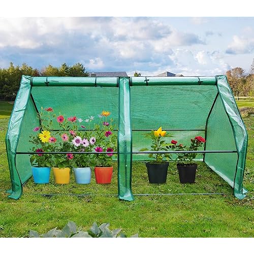 Backyard Greenhouse Amazon Com