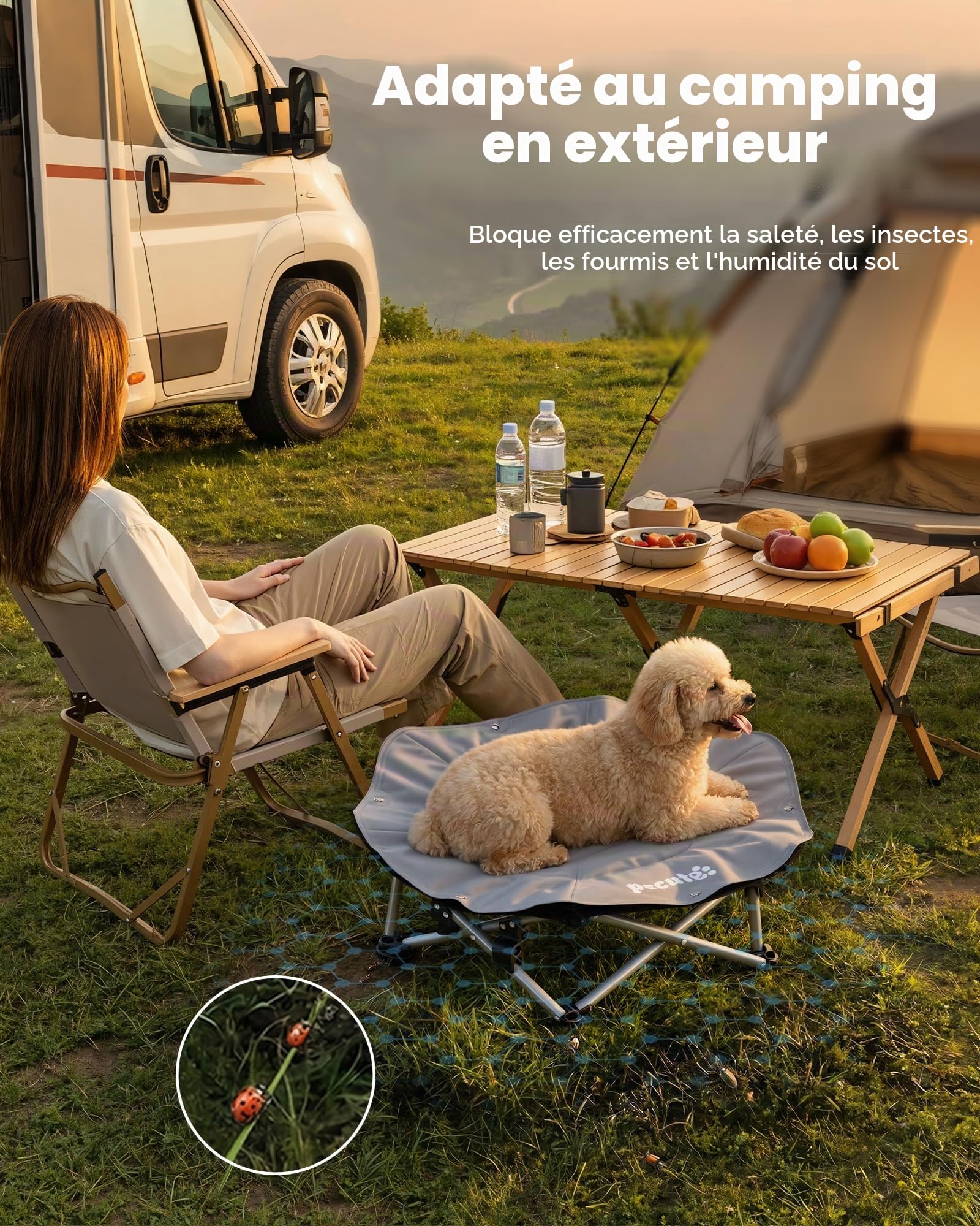 Pecute Tapis Rafraichissant Chien avec Lit Chien Sureleve Rafraîchissant, Panier Chien Pliable Portable, Respirant Antidérapant, Jusqu'à 60 kg, Intérieur Extérieur, Taille M 66x60x15cm