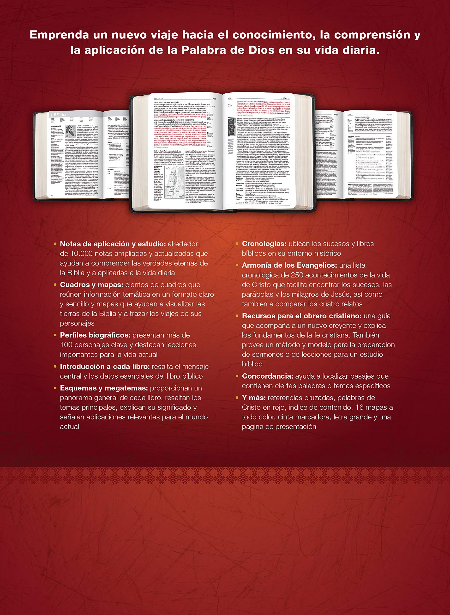 Biblia de Estudio del Diario Vivir Rvr60, Letra Grande (Letra Roja, Sentipiel, Negro/ï½nice): Reina-Valera 1960, negro/onice, sentipiel, letra grande