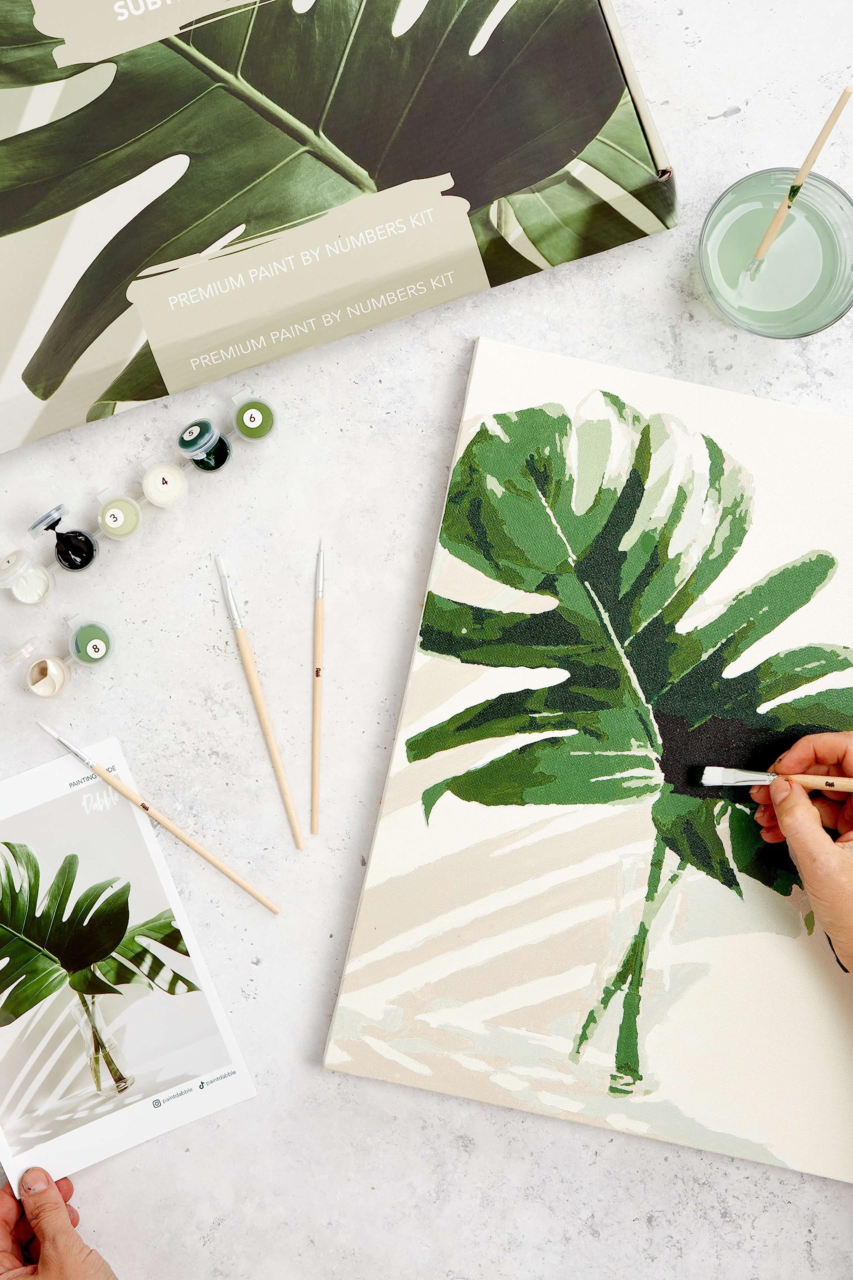 Dabble™ Premium kit met verf op nummer voor volwassenen, beginners, kwaliteit schilderij op nummer voor volwassenen op canvas lijst, bloemen, planten, cadeau - België Dabble™ Premium kit met verf op nummer voor volwassenen, beginners, kwaliteit schilderij op nummer voor volwassenen op canvas lijst, bloemen, planten, cadeau - België