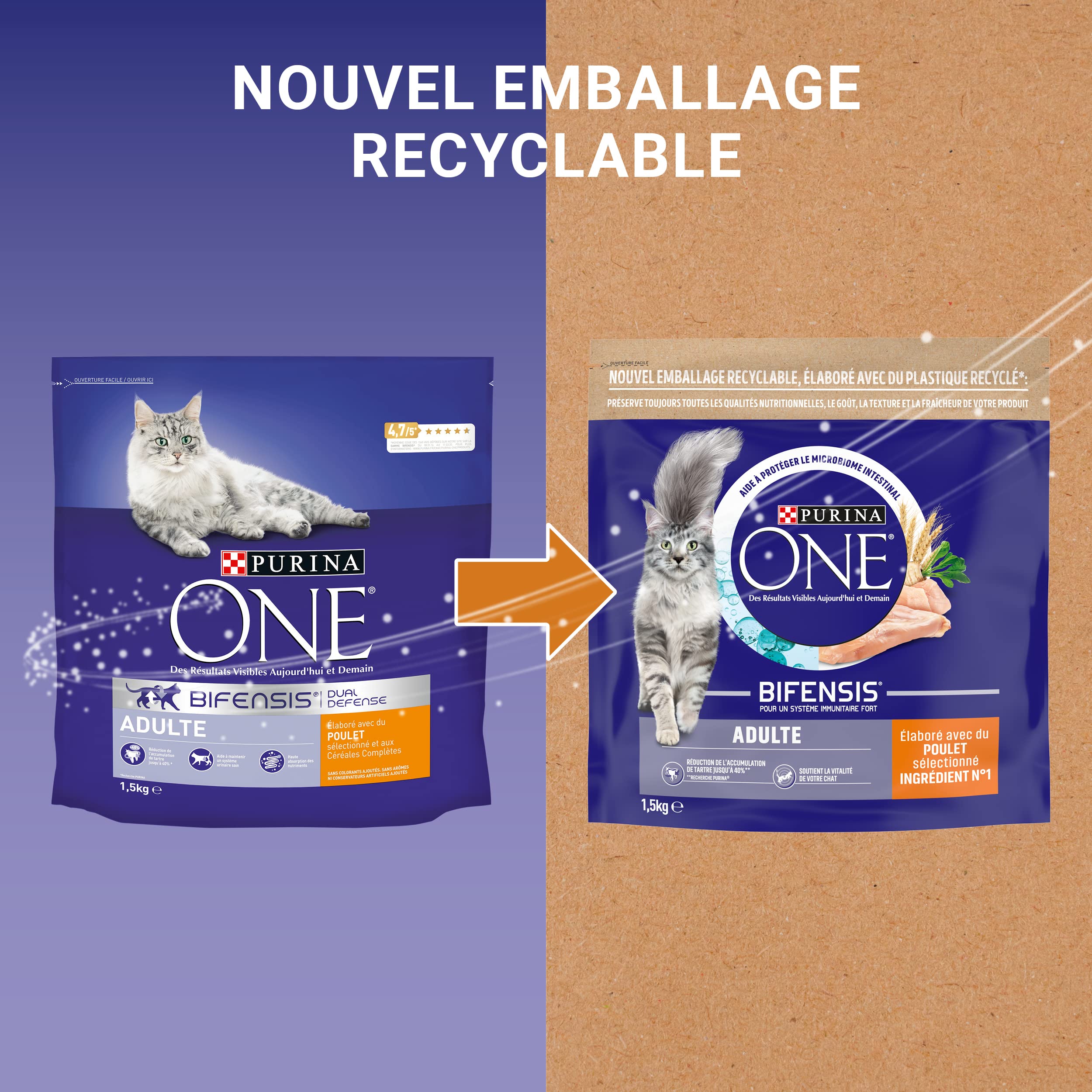 PURINA ONE | BIFENSIS | Croquettes pour Chat Adulte | Renforce Le système immunitaire, améliore l'équilibre du microbiome, Aide à Maintenir Un système urinaire sain | Poulet | Sac | Lot de 6 x 1,5Kg