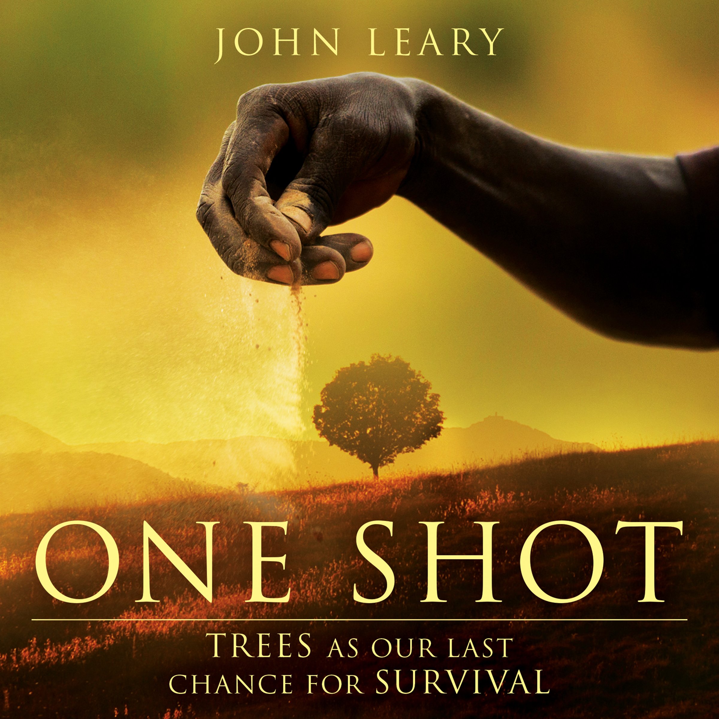 Cover art for One Shot