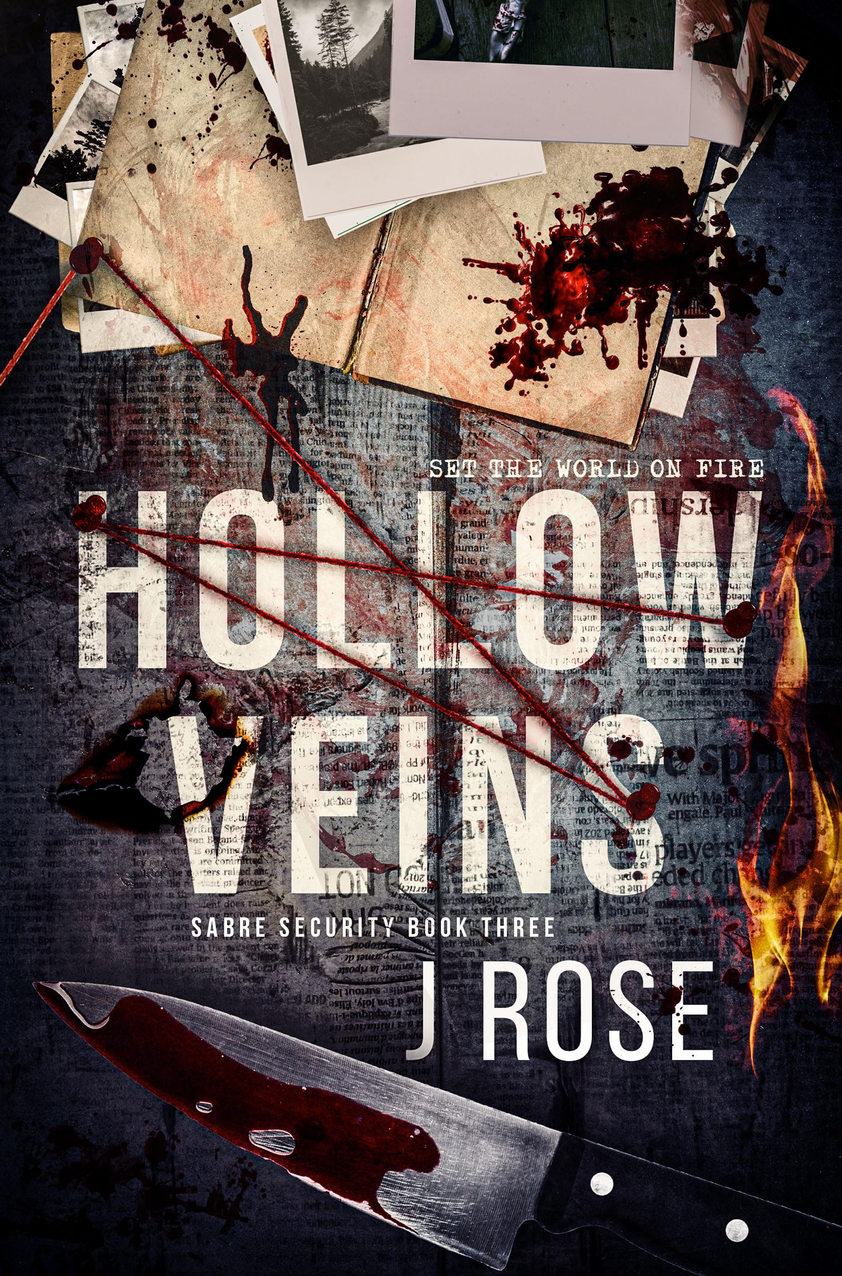 Hollow Veins: Sabre Security, Book 3