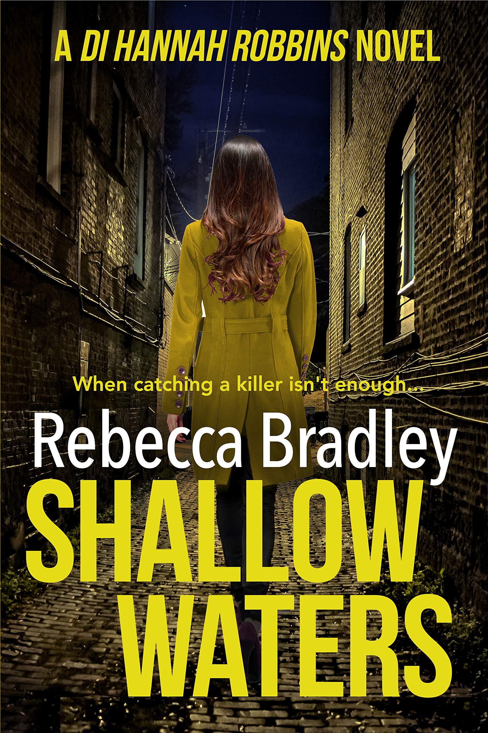 Shallow Waters (Detective Hannah Robbins Crime Series Book 1)