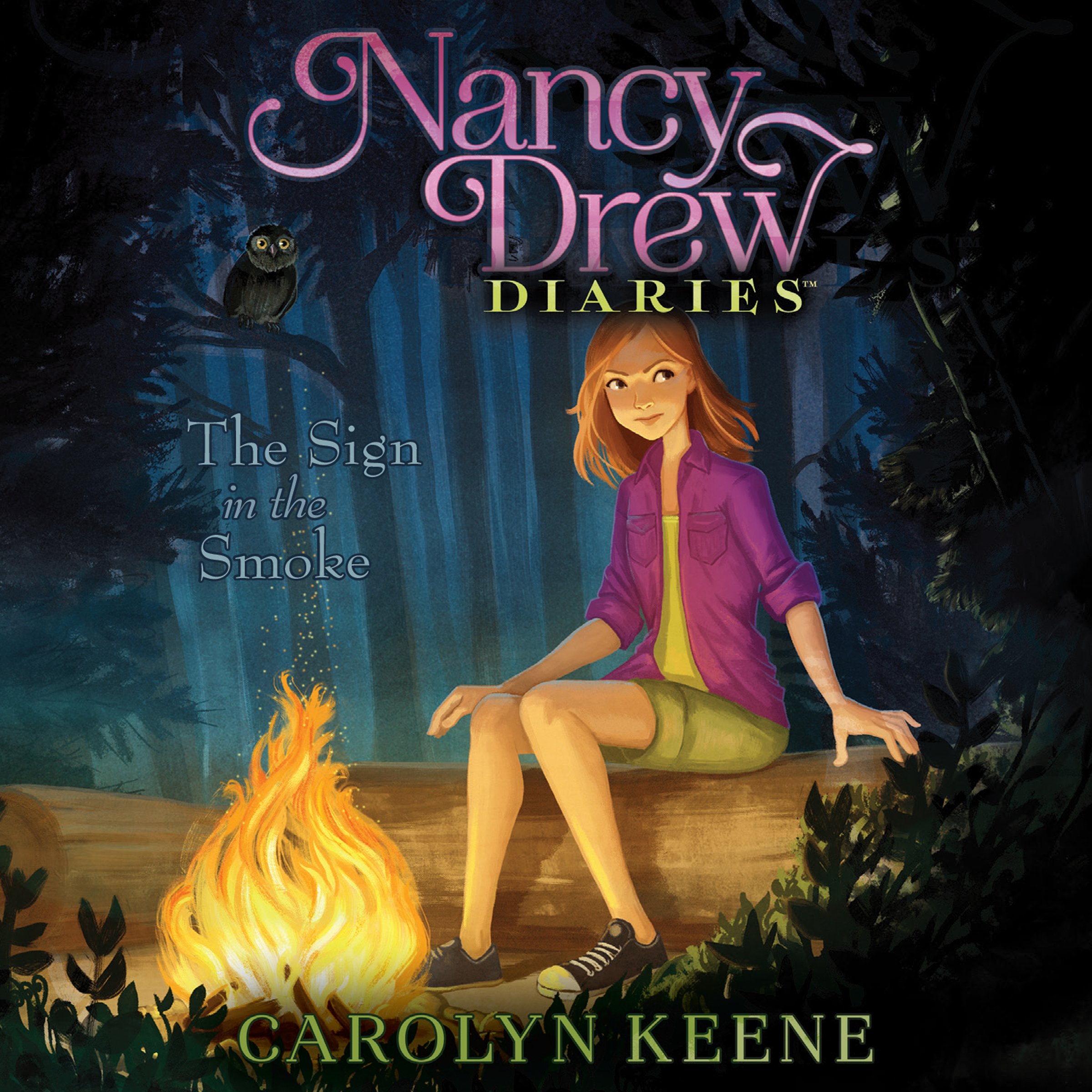 Cover art for The Sign in the Smoke