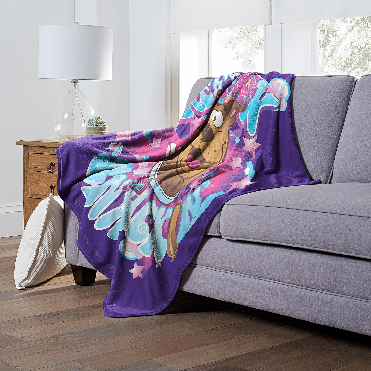 Northwest Scooby Doo Silk Touch Throw Blanket, 50" x 60", Keep Snackin