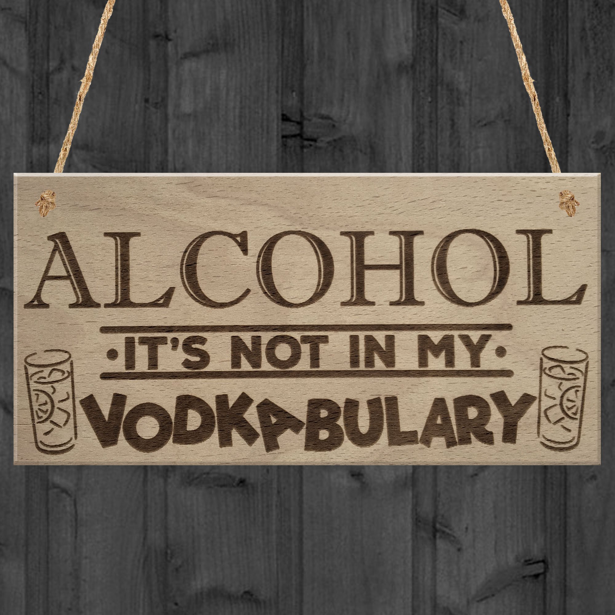Red Ocean Alcohol Vodkabulary Funny Drink Vodka Friendship Gift Hanging Plaque Joke Sign
