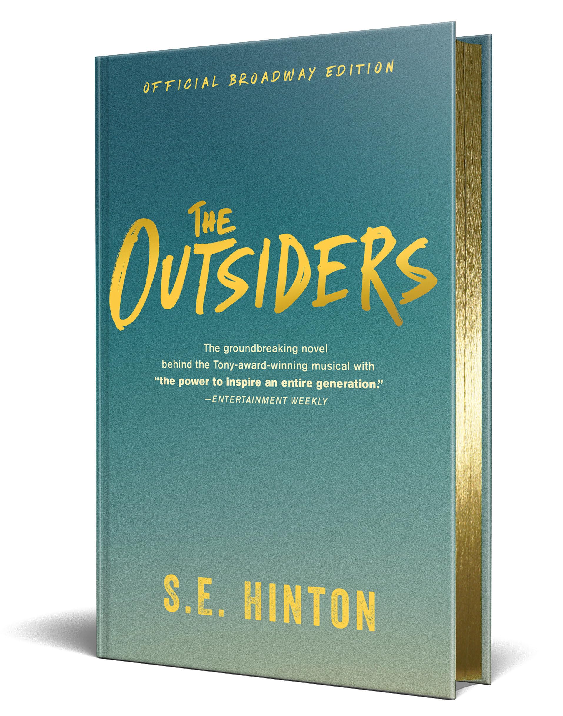 The Outsiders by S E Hinton HARDBACK 9798217040933