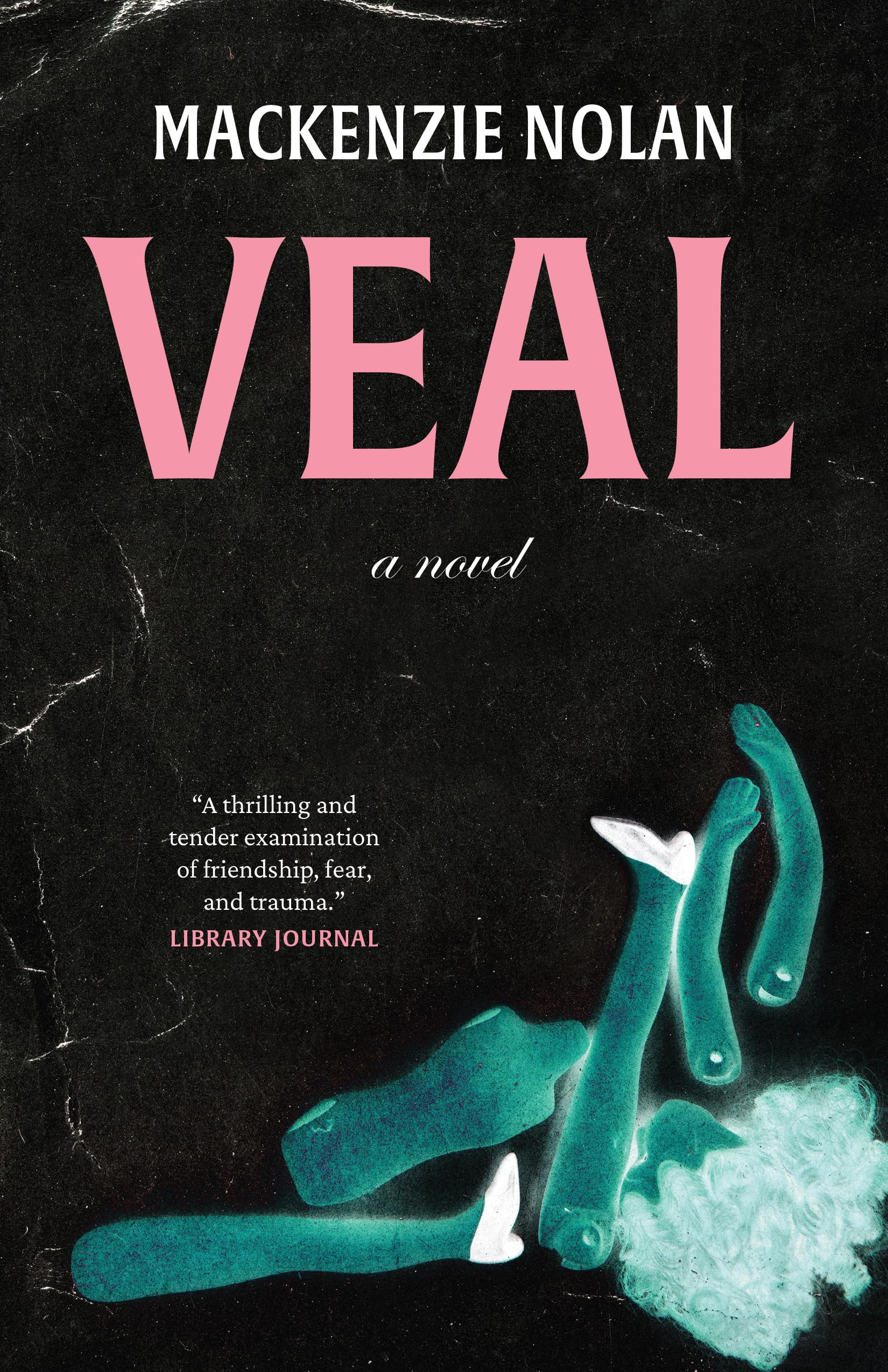 Veal A Novel